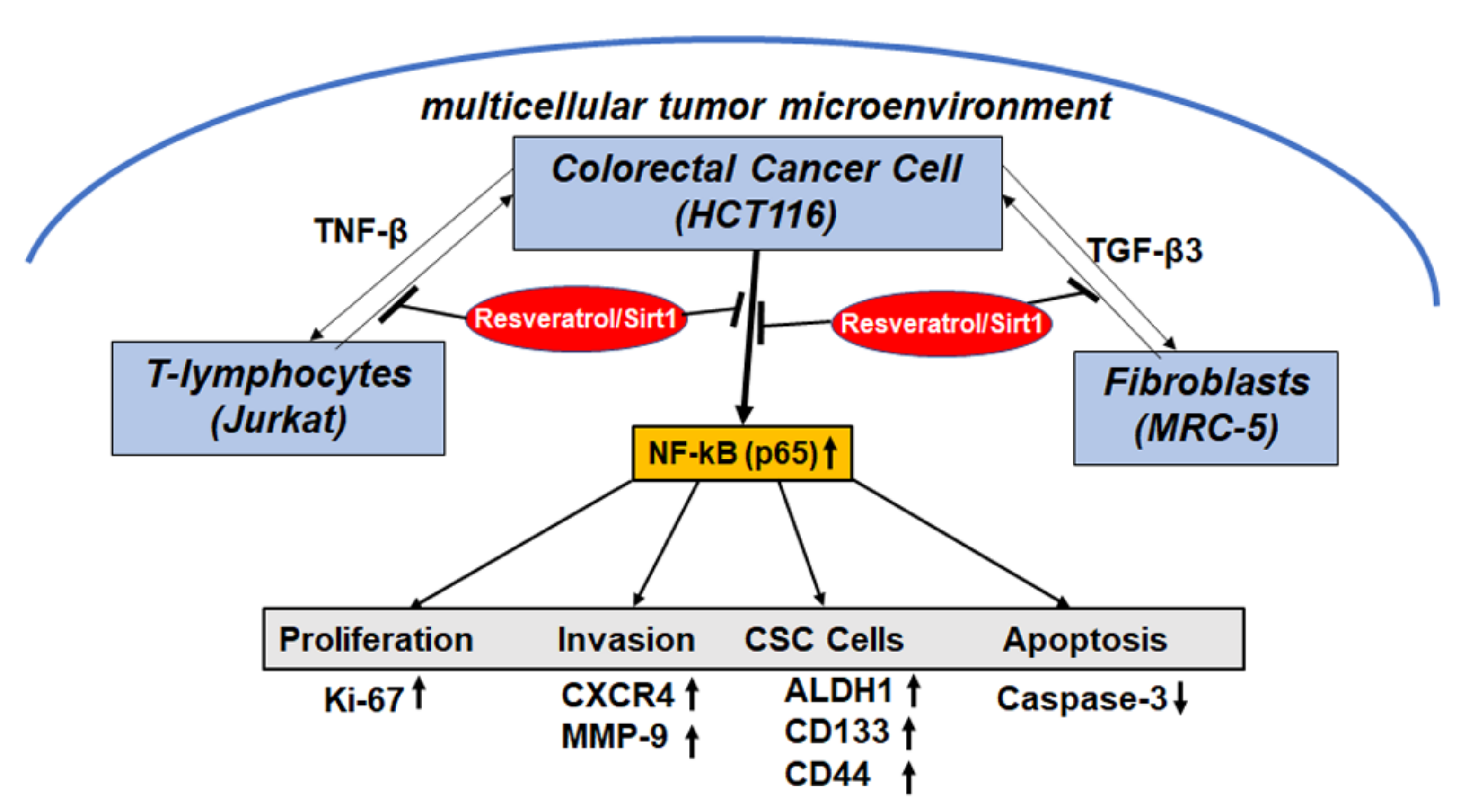 Molecules 25 04292 g008