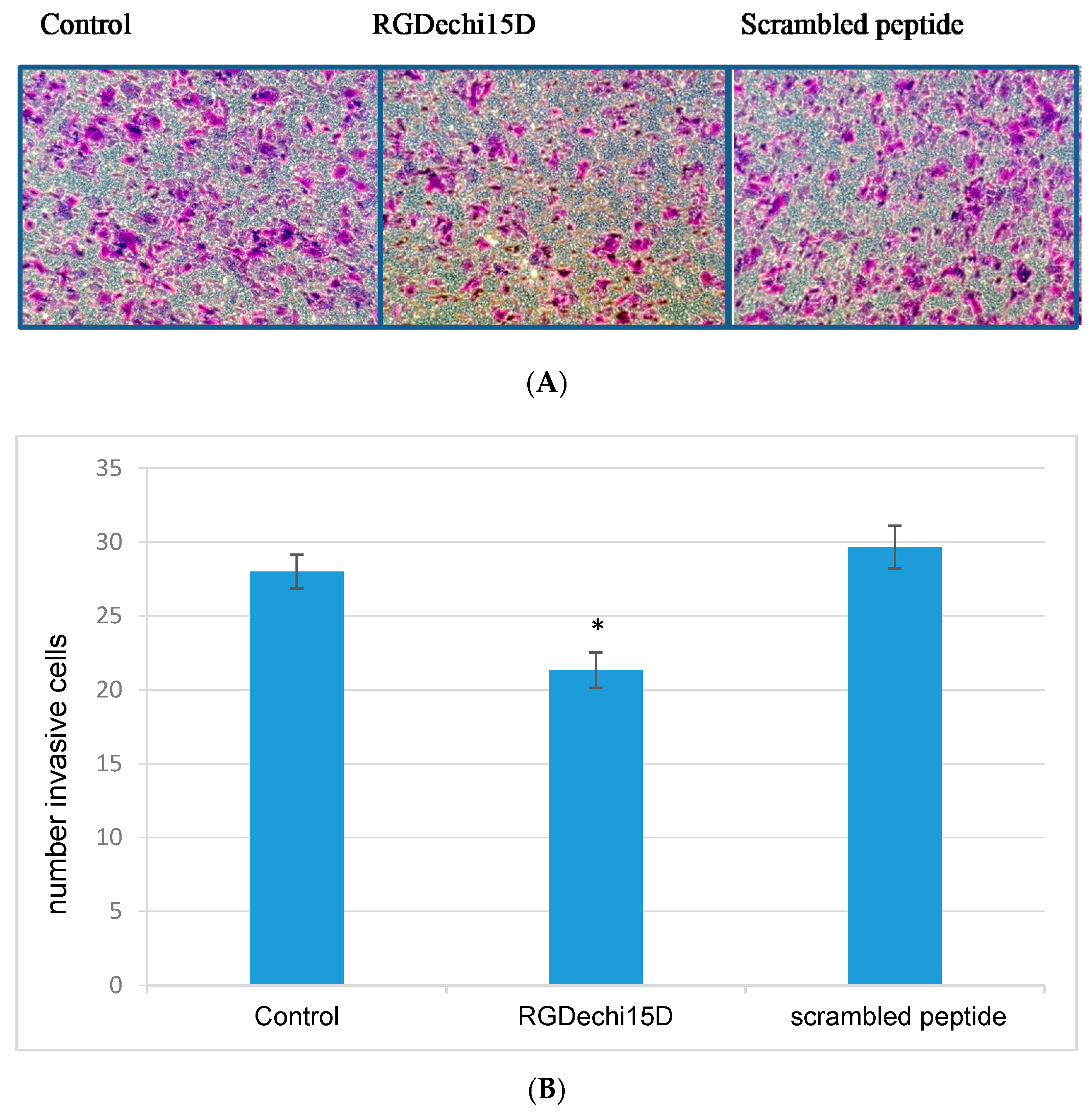 Molecules 25 04298 g005 Molecules 25 04298 g005