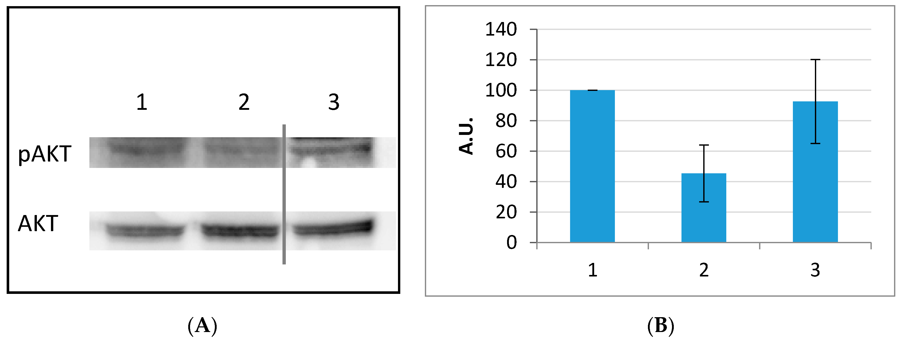 Molecules 25 04298 g008 Molecules 25 04298 g008