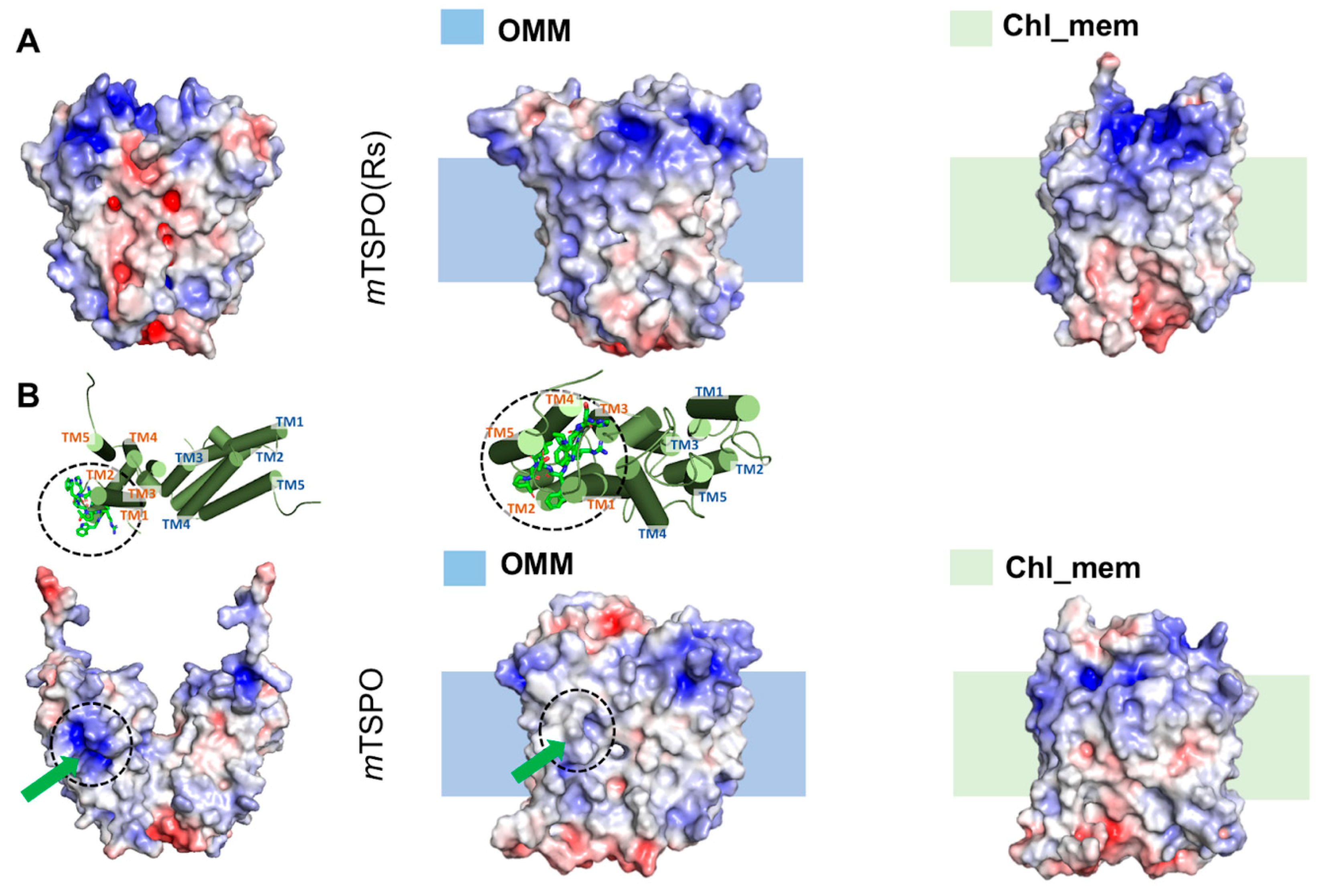 Molecules 25 04299 g001