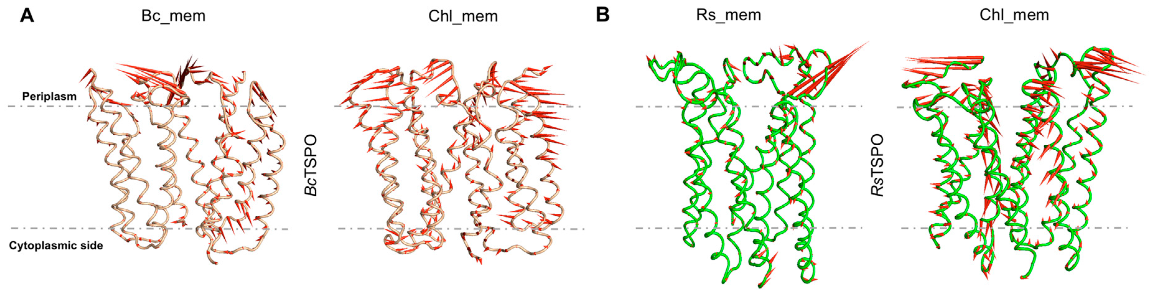 Molecules 25 04299 g009