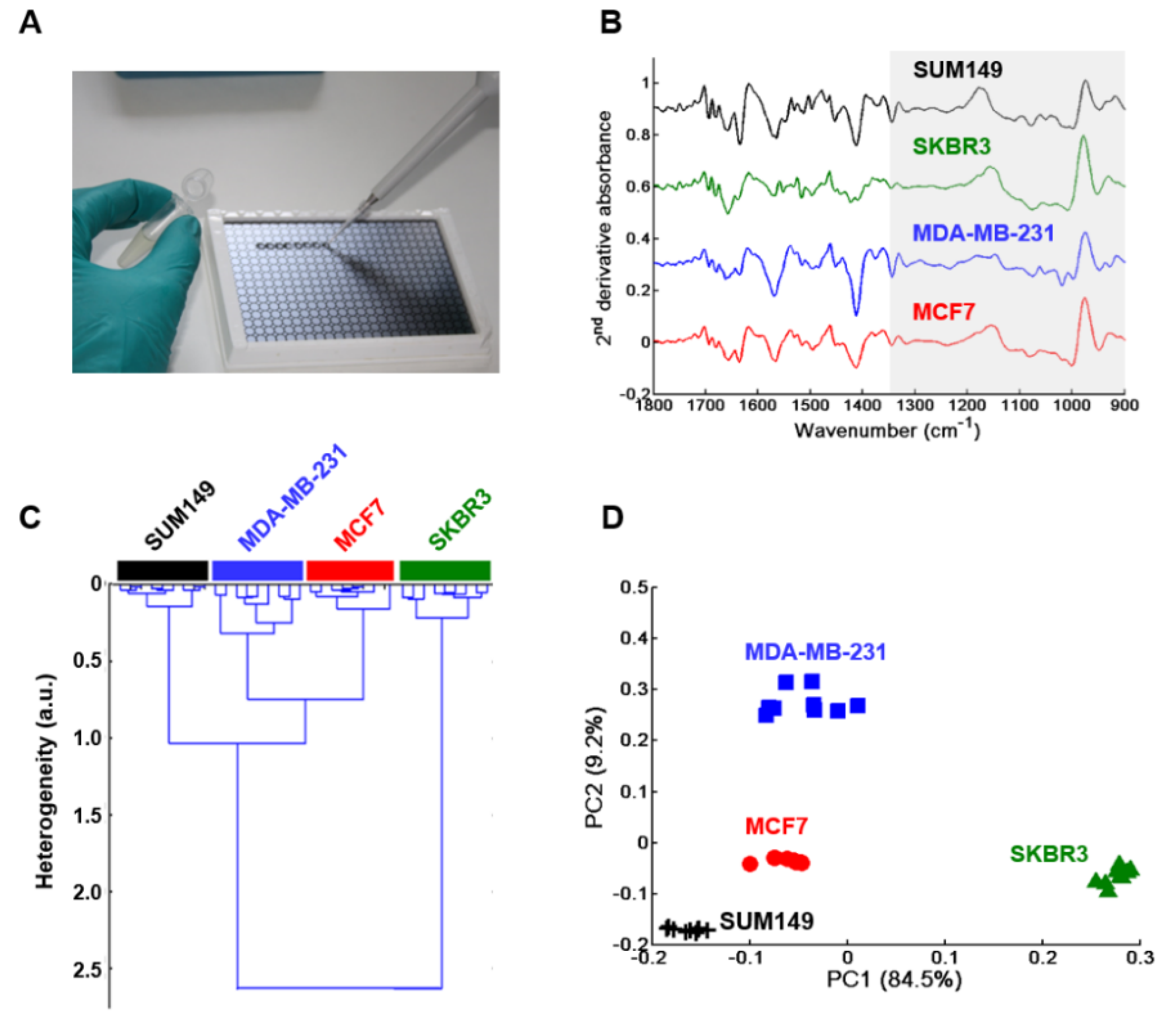 Molecules 25 04300 g001 Molecules 25 04300 g001