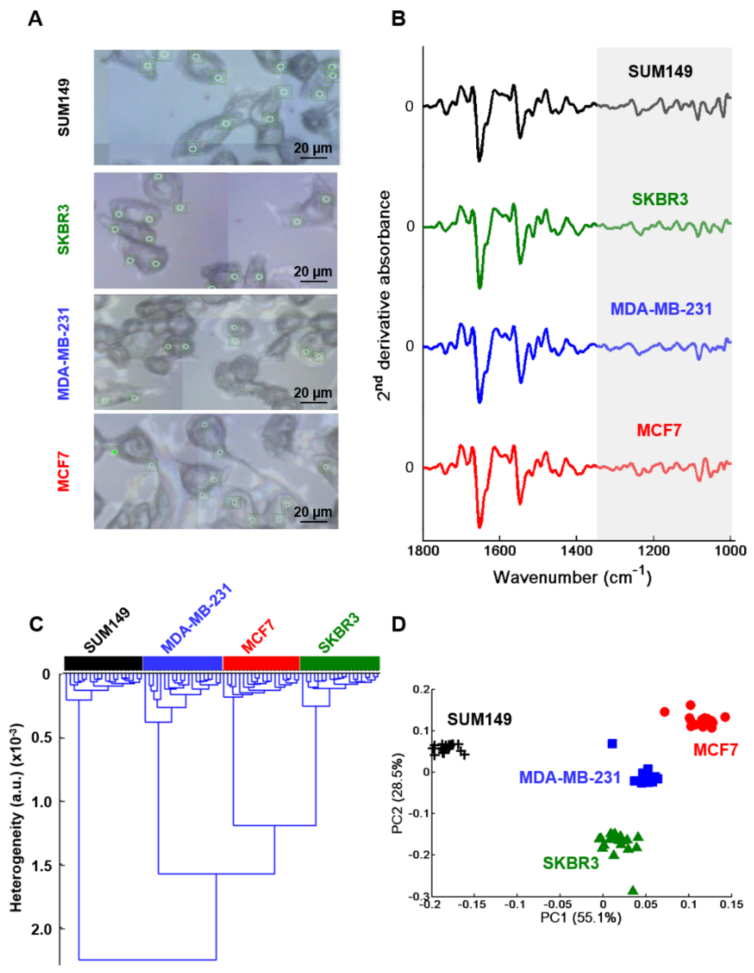 Molecules 25 04300 g005 Molecules 25 04300 g005