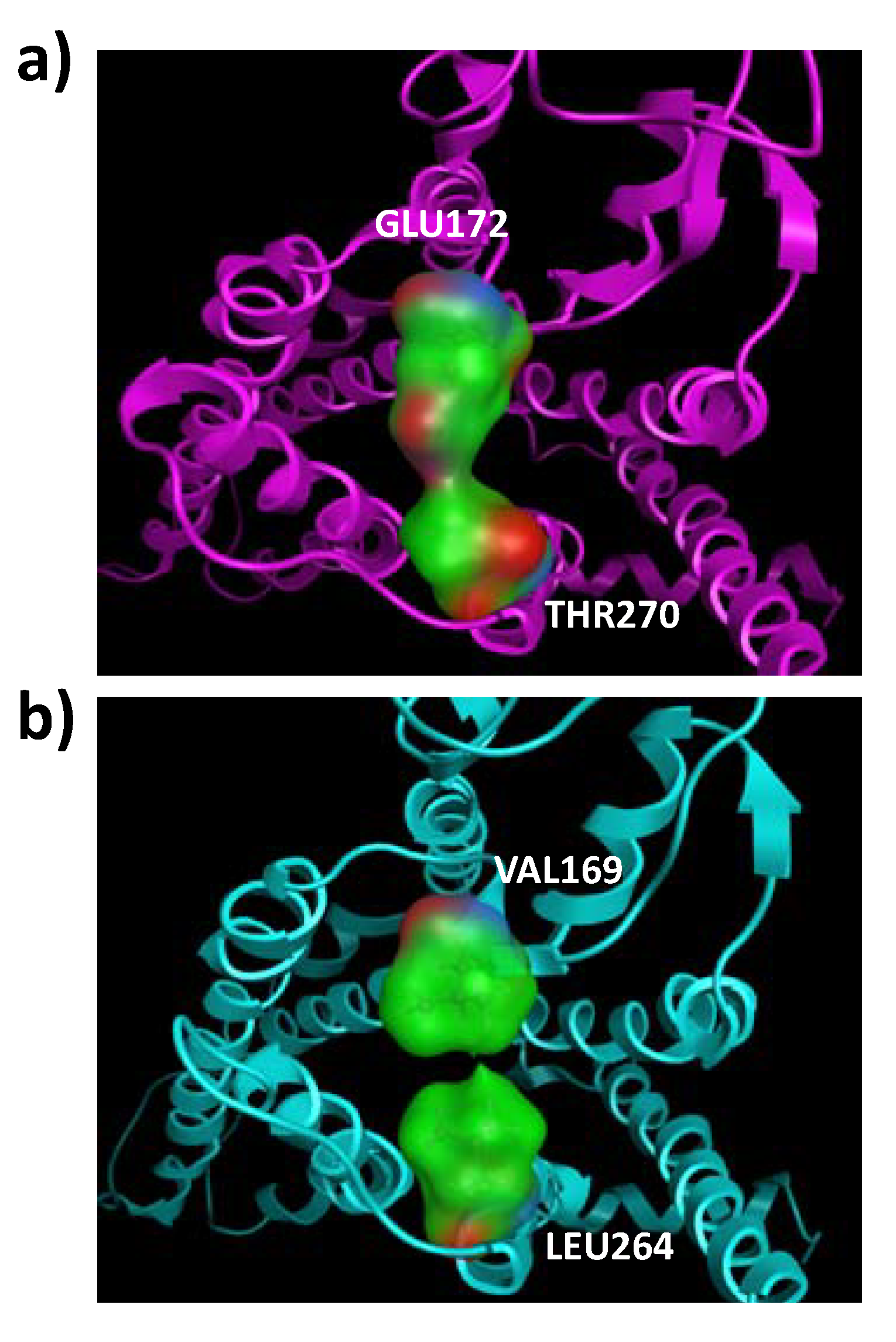 Molecules 25 04306 g004 Molecules 25 04306 g004