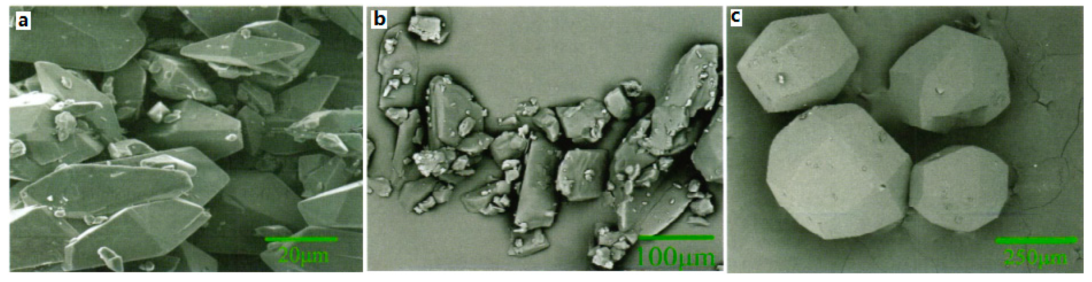 Molecules 25 04311 g006