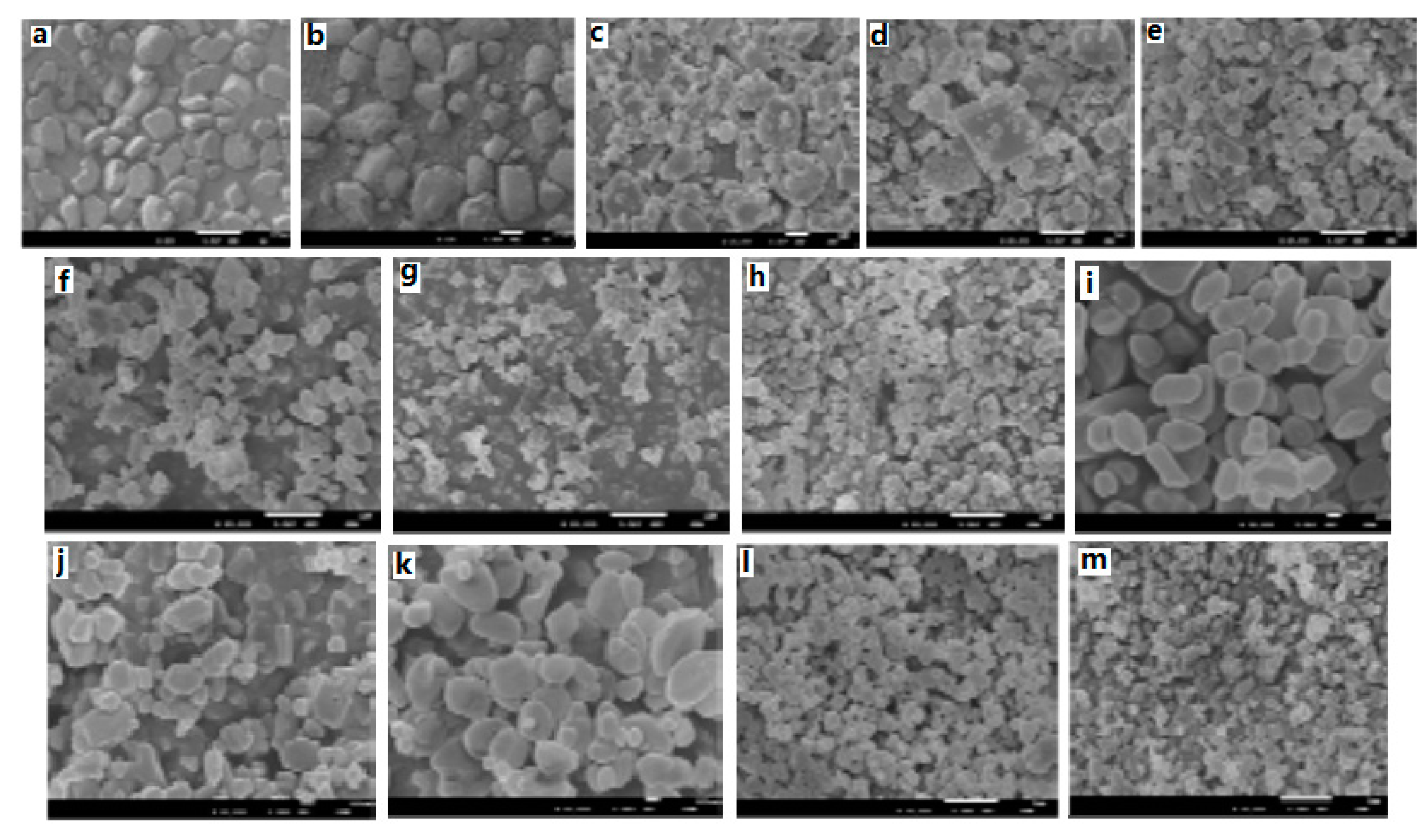 Molecules 25 04311 g010