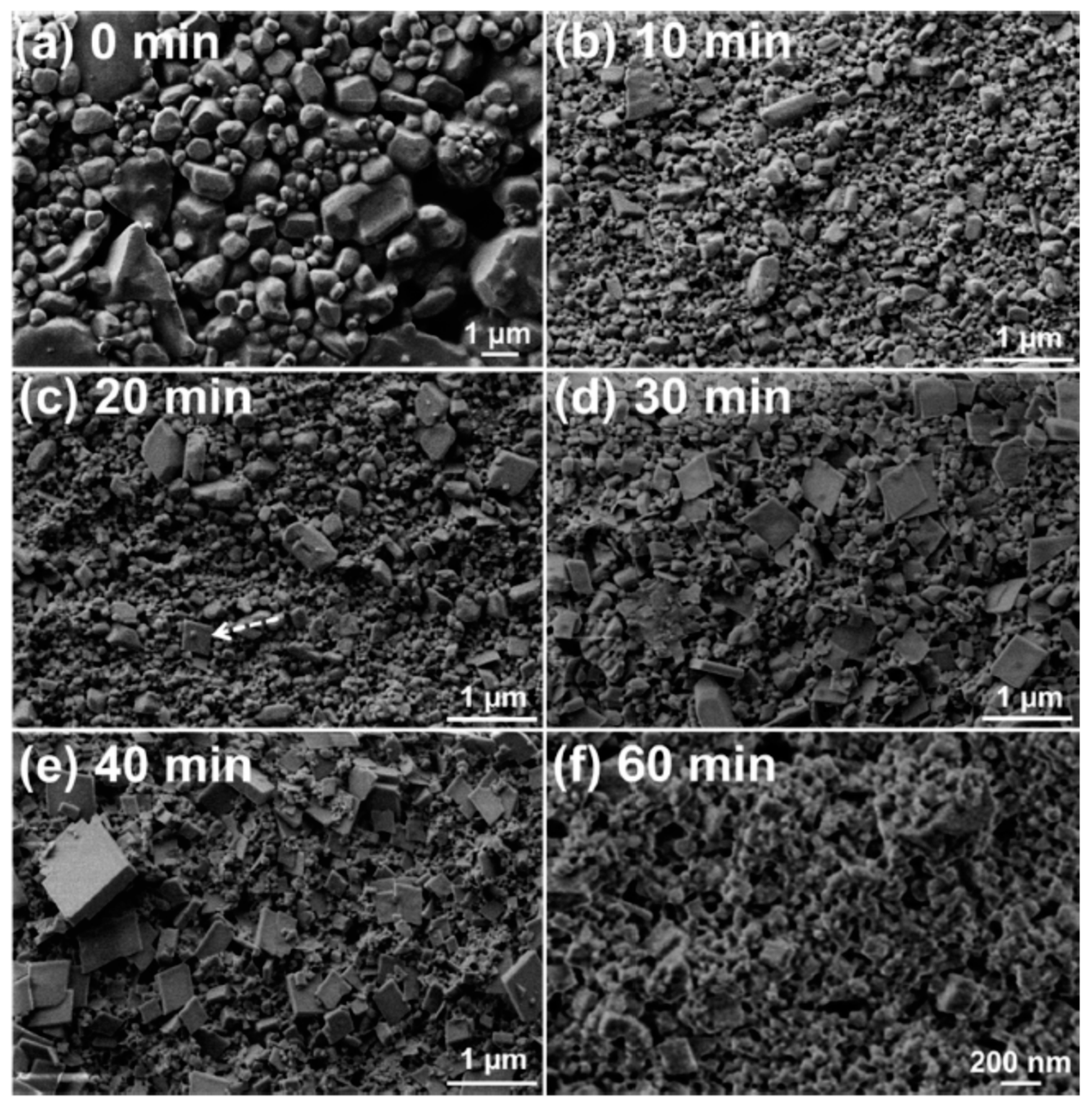 Molecules 25 04311 g012