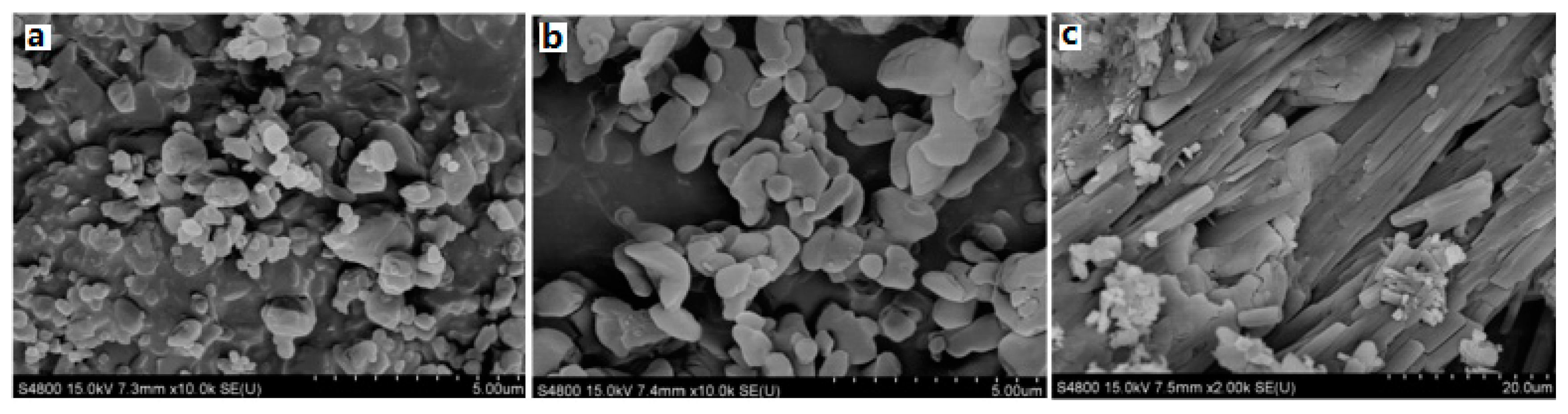 Molecules 25 04311 g013