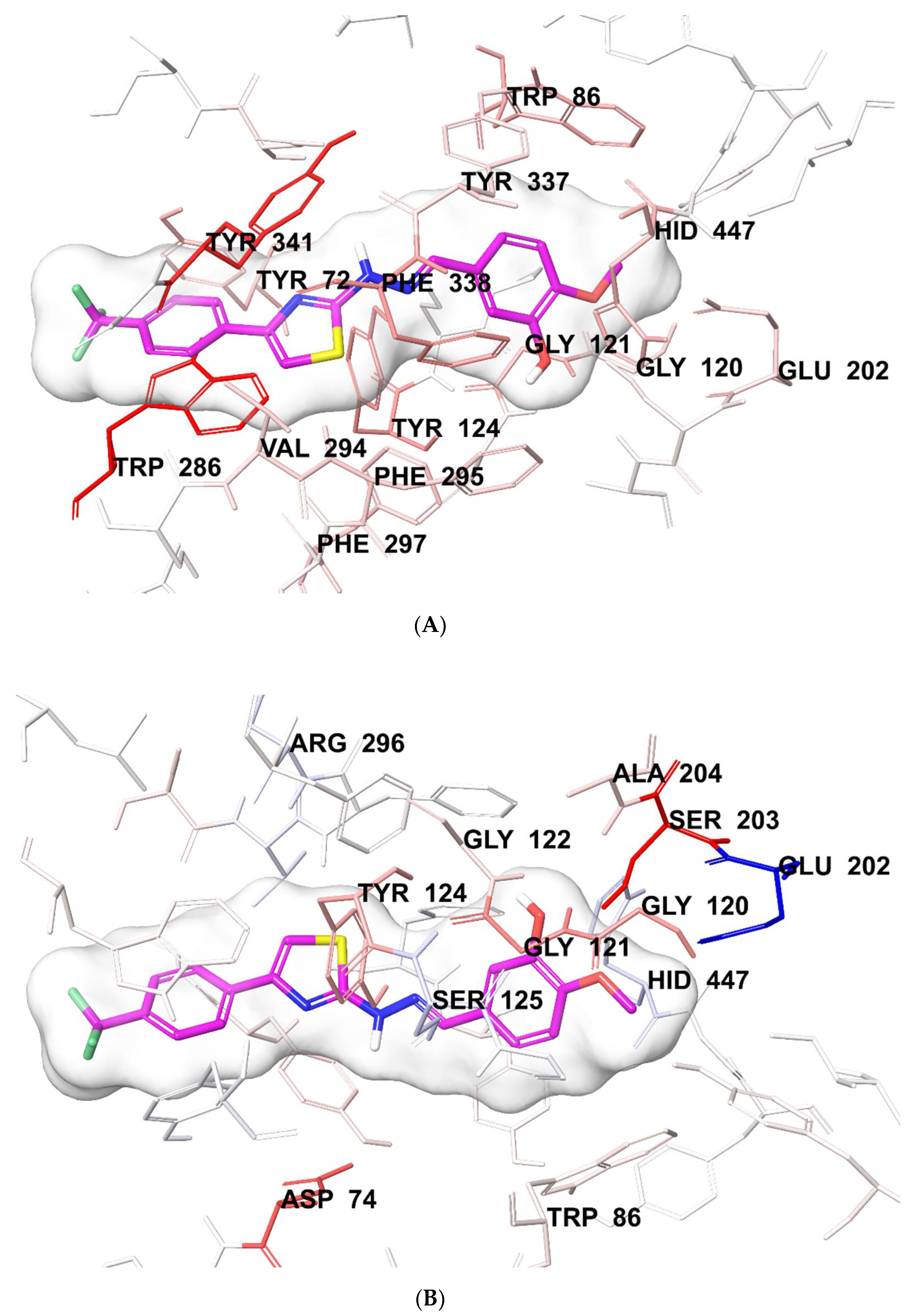 Molecules 25 04312 g005 Molecules 25 04312 g005