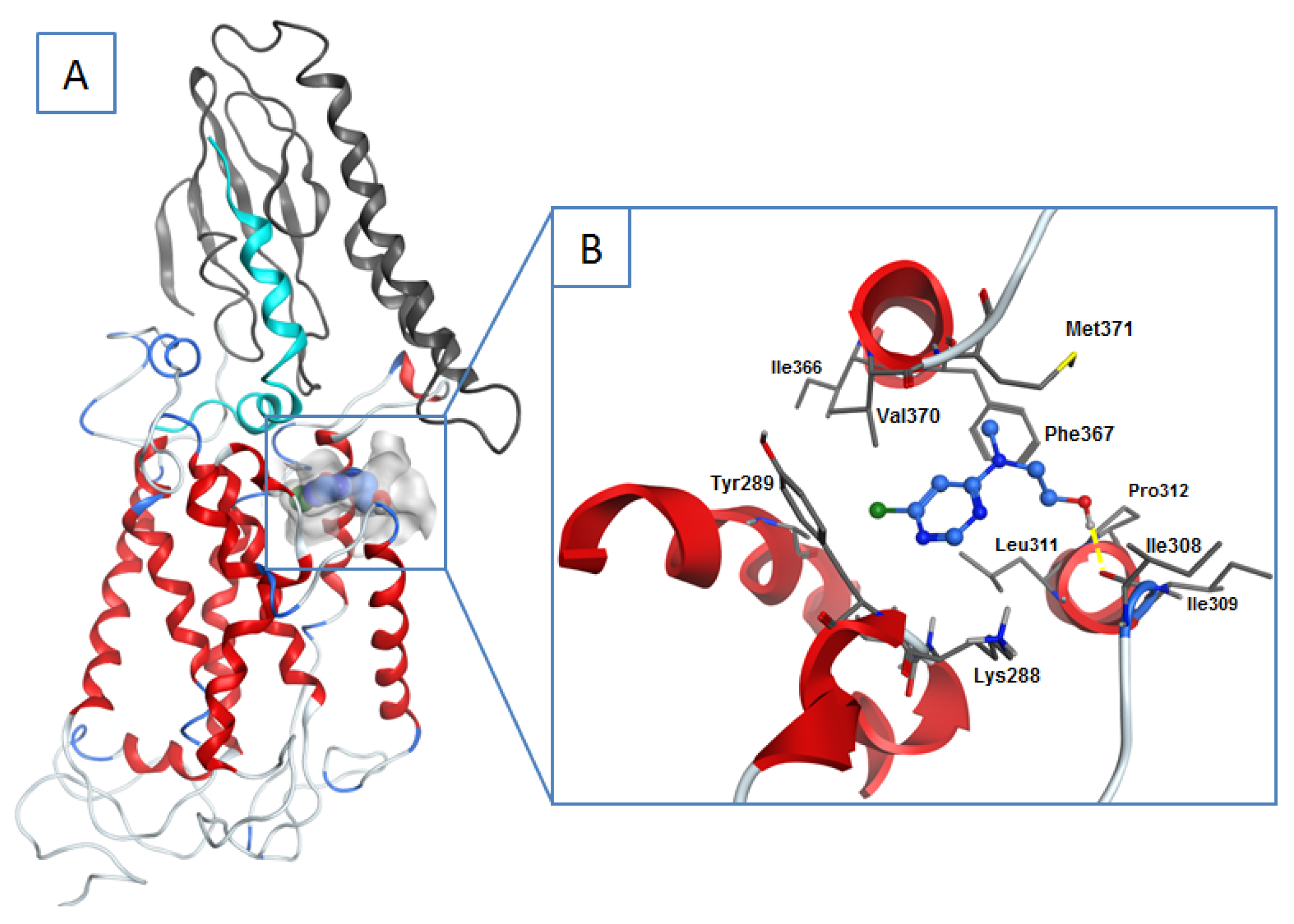 Molecules 25 04313 g005