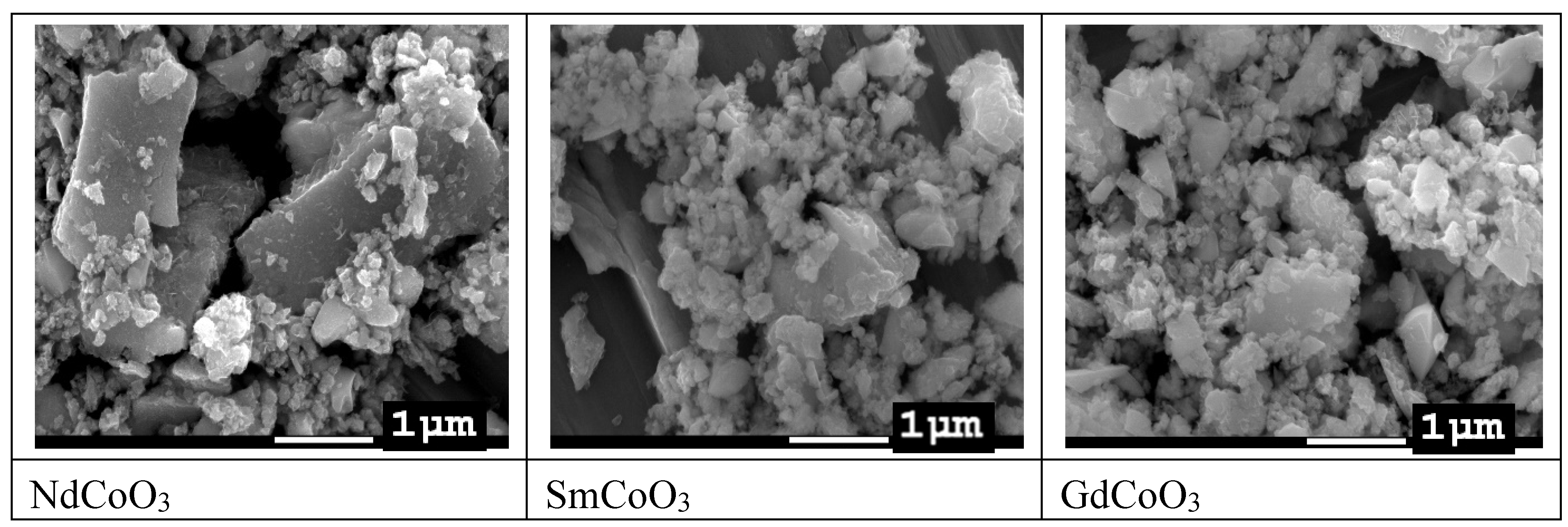Molecules 25 04316 g001 Molecules 25 04316 g001