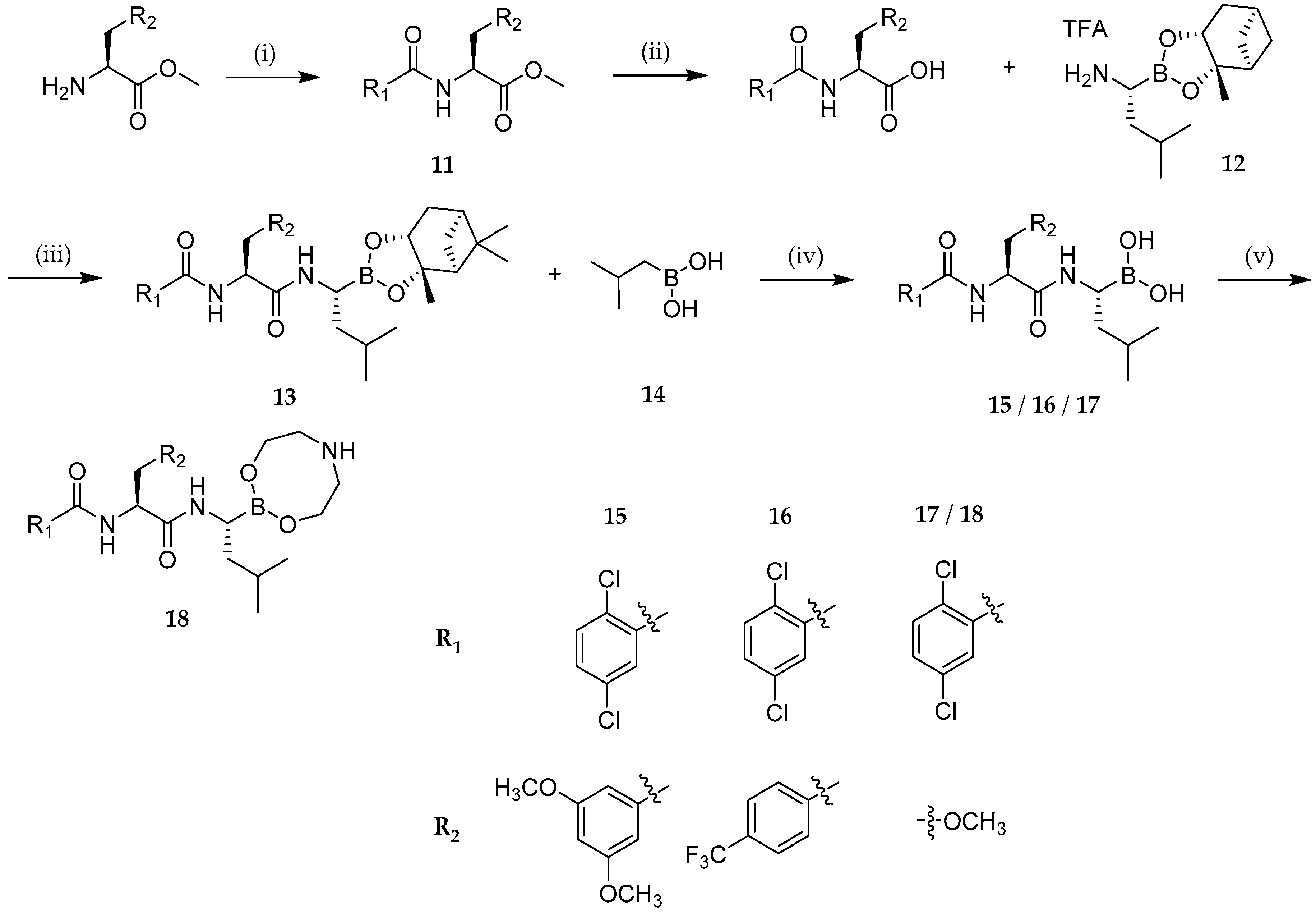 Molecules 25 04323 sch004 Molecules 25 04323 sch004