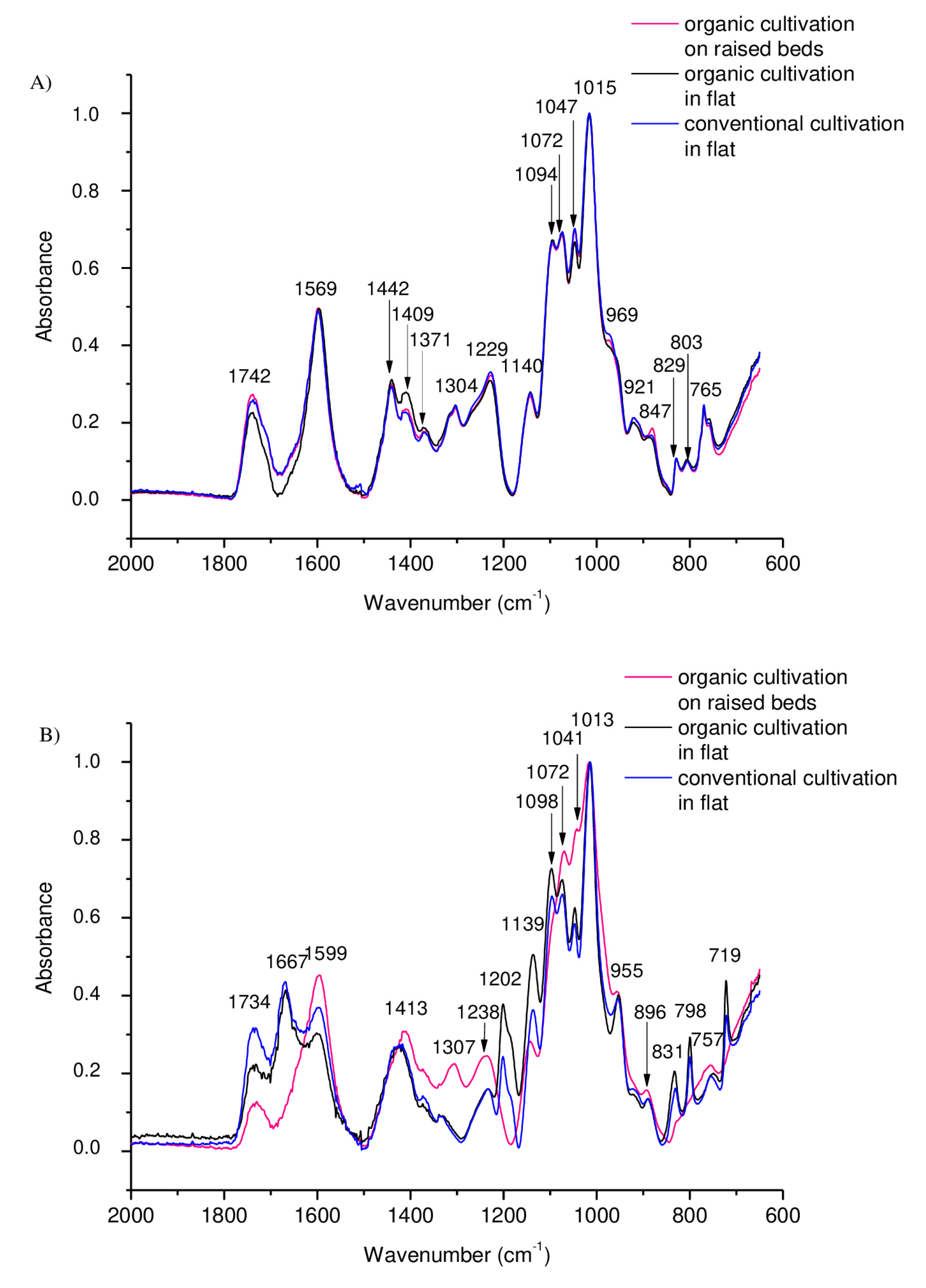 Molecules 25 04325 g003 Molecules 25 04325 g003