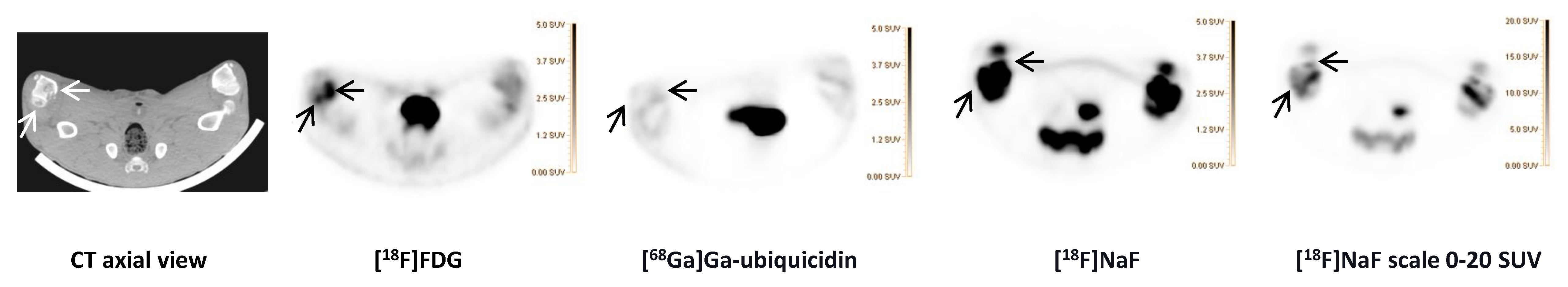 Molecules 25 04329 g004