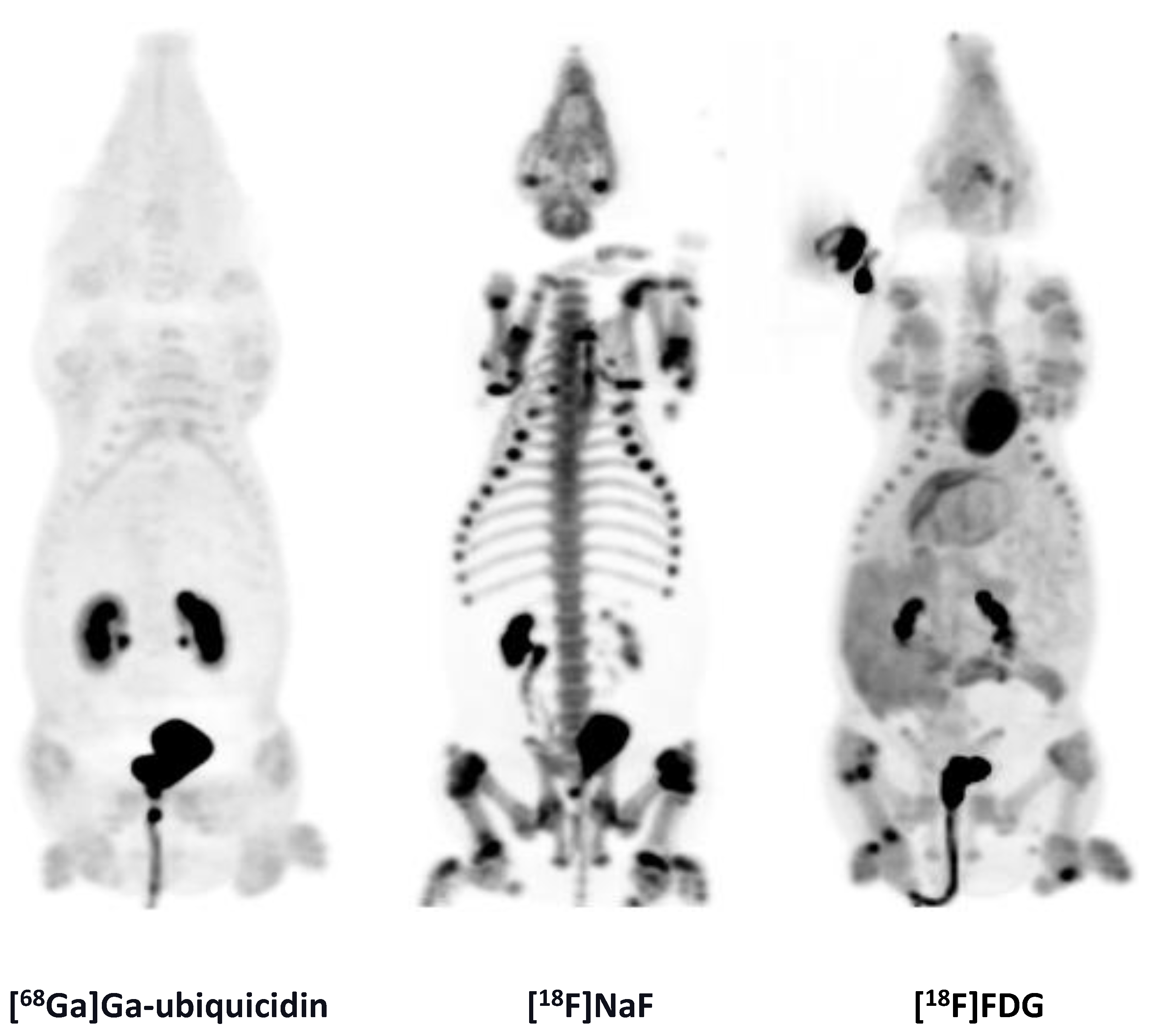 Molecules 25 04329 g005