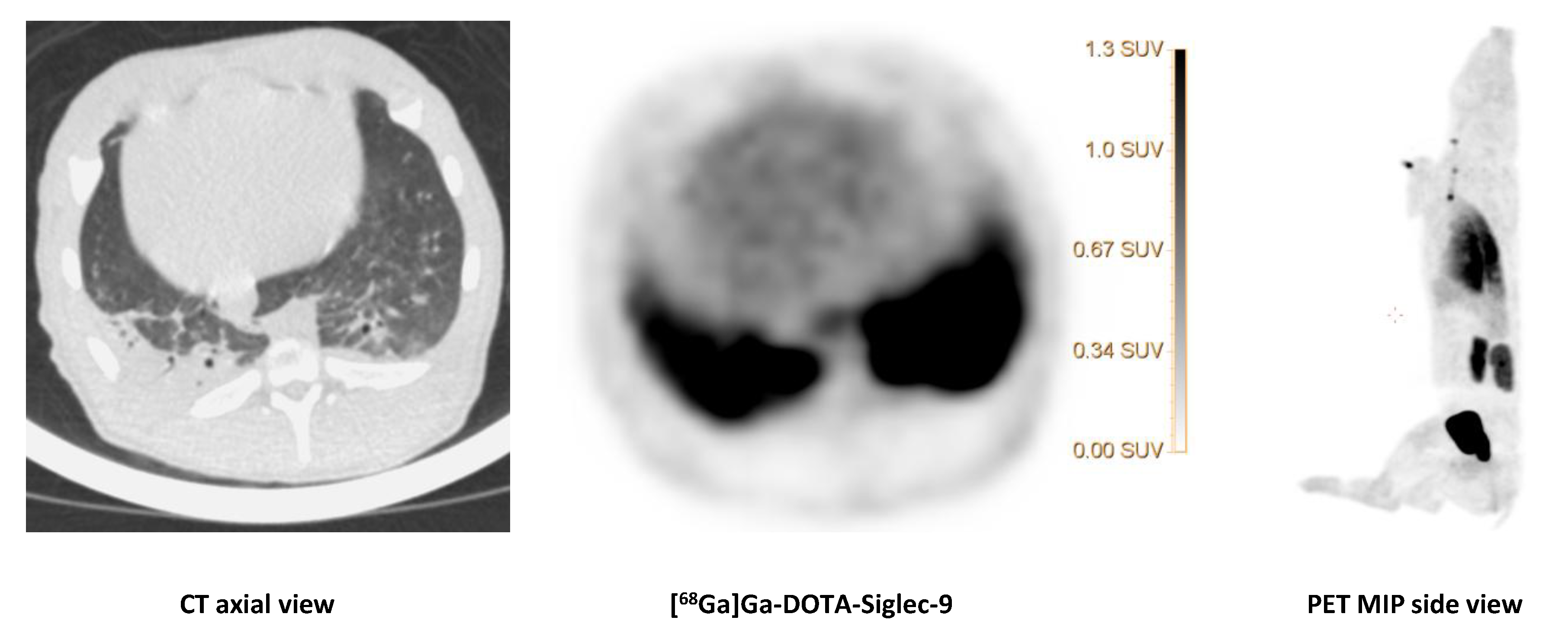 Molecules 25 04329 g007