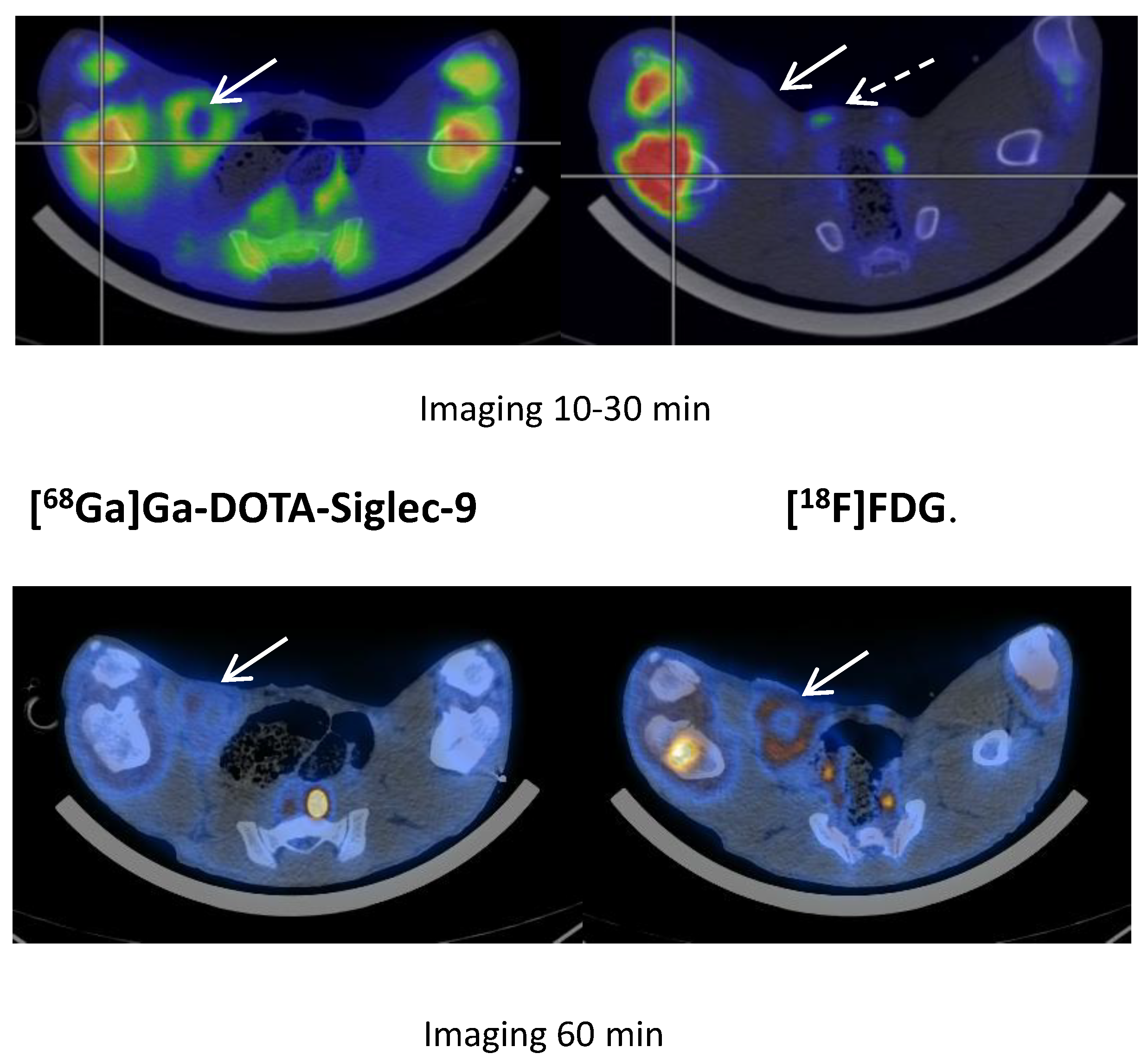 Molecules 25 04329 g008