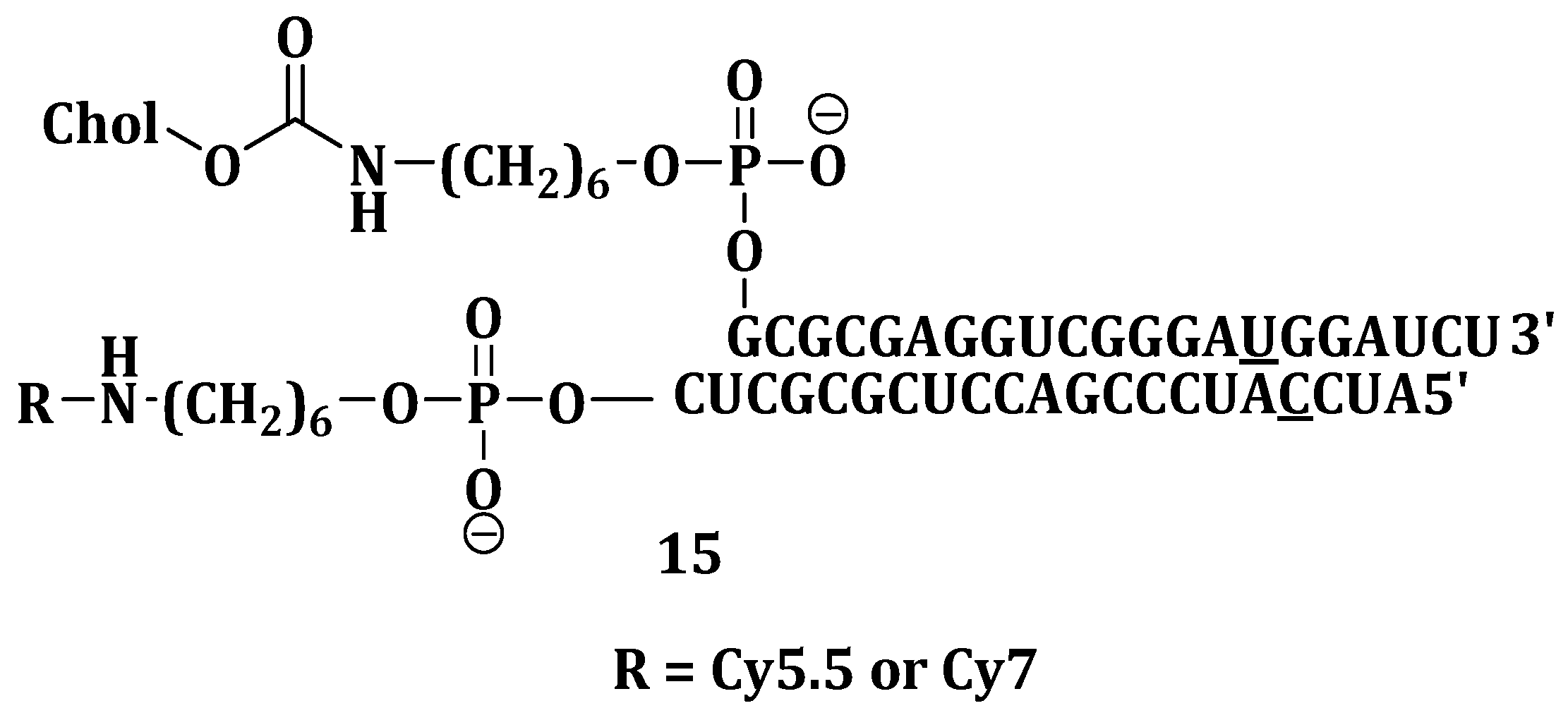 Molecules 25 04330 g005