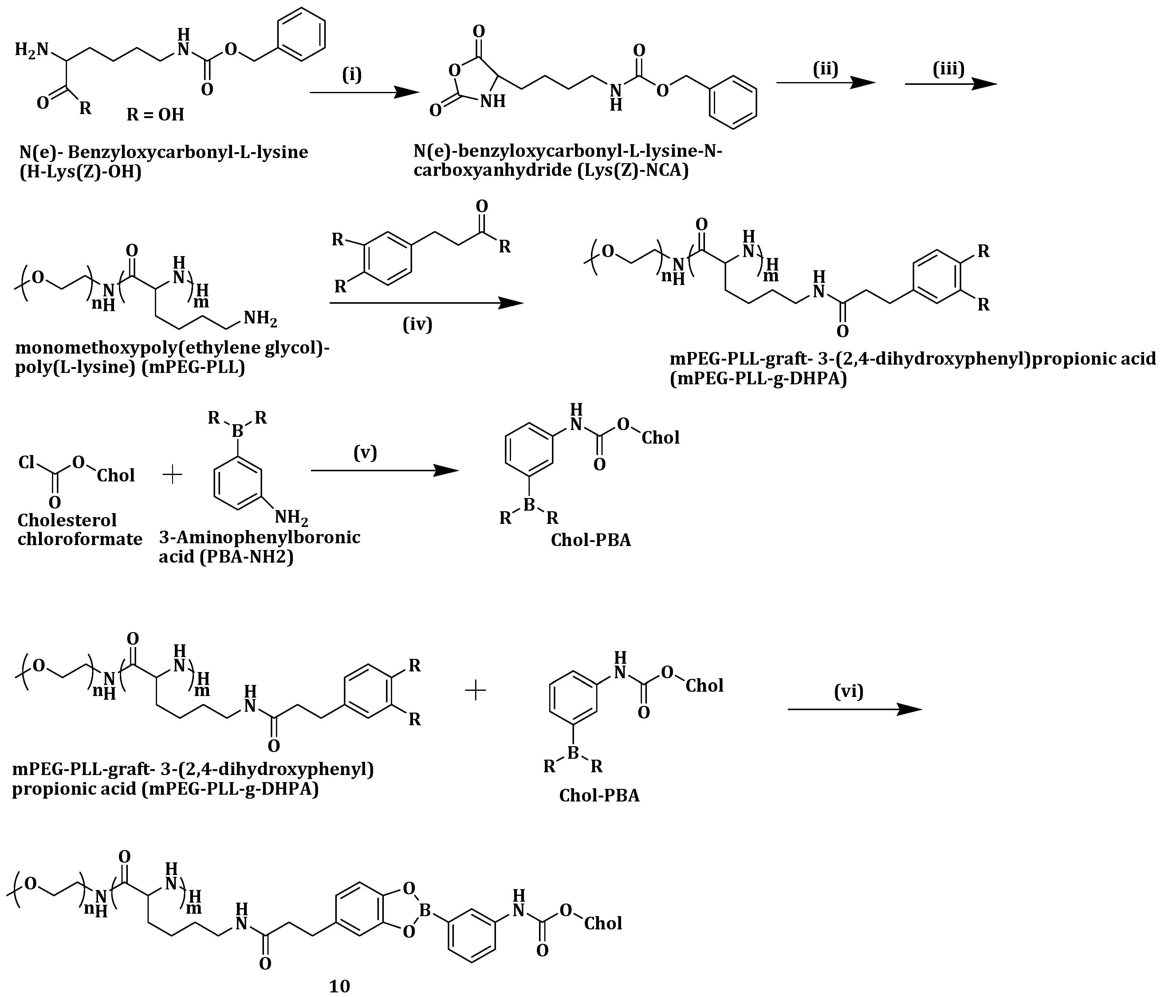 Molecules 25 04330 sch007