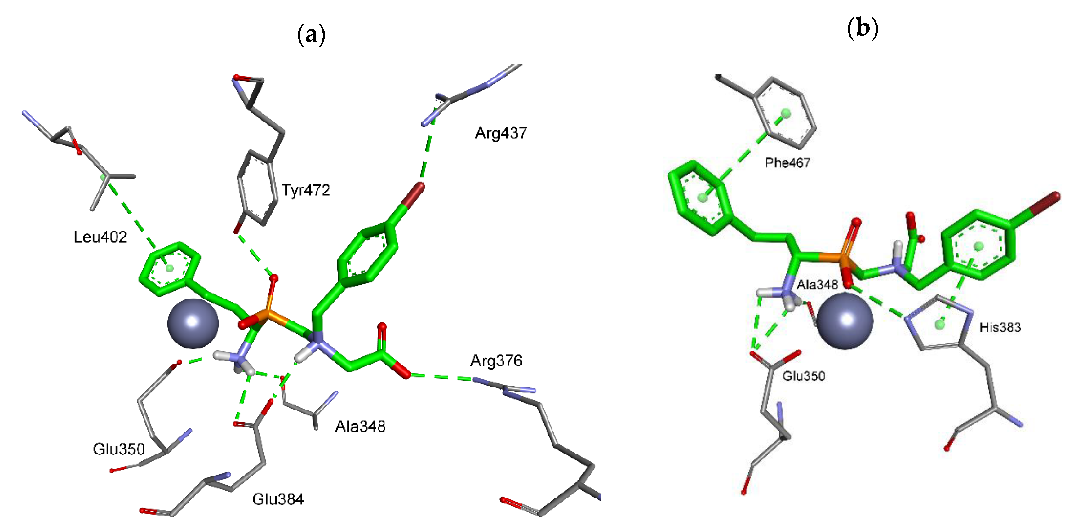 Molecules 25 04334 g003 Molecules 25 04334 g003
