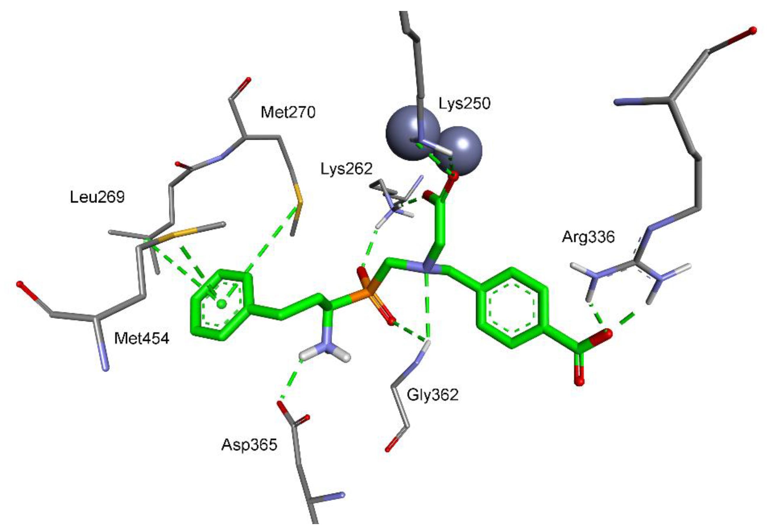Molecules 25 04334 g005 Molecules 25 04334 g005