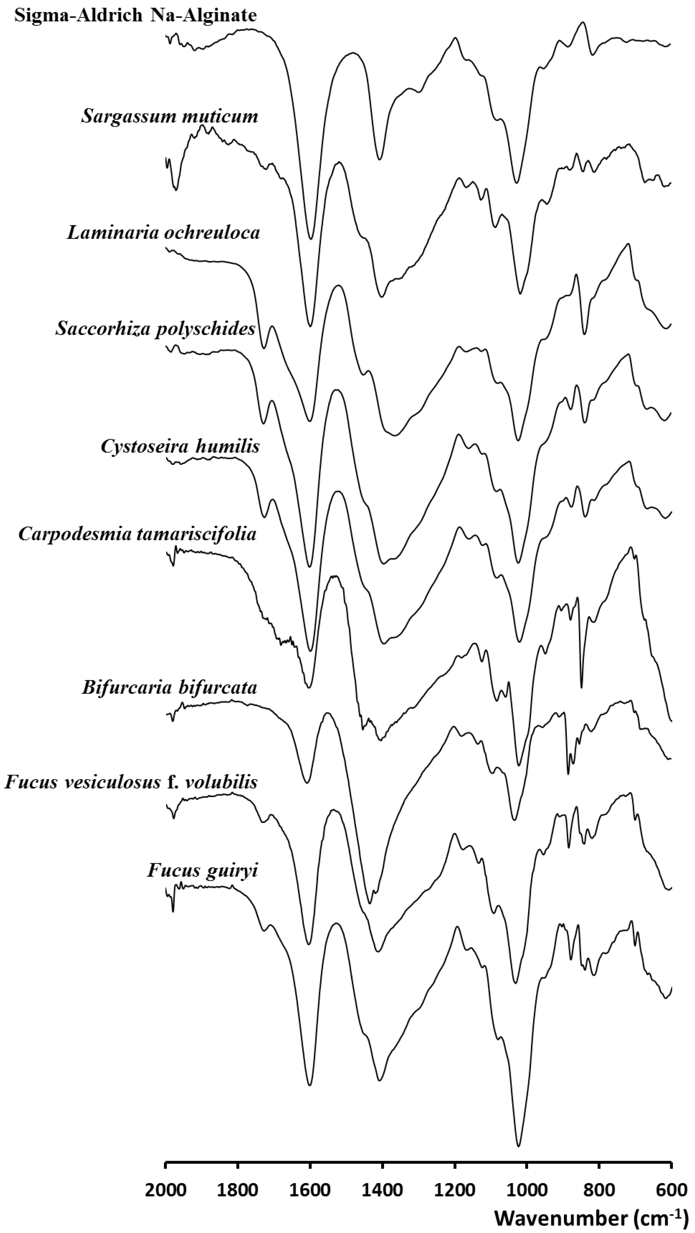 Molecules 25 04335 g001 Molecules 25 04335 g001