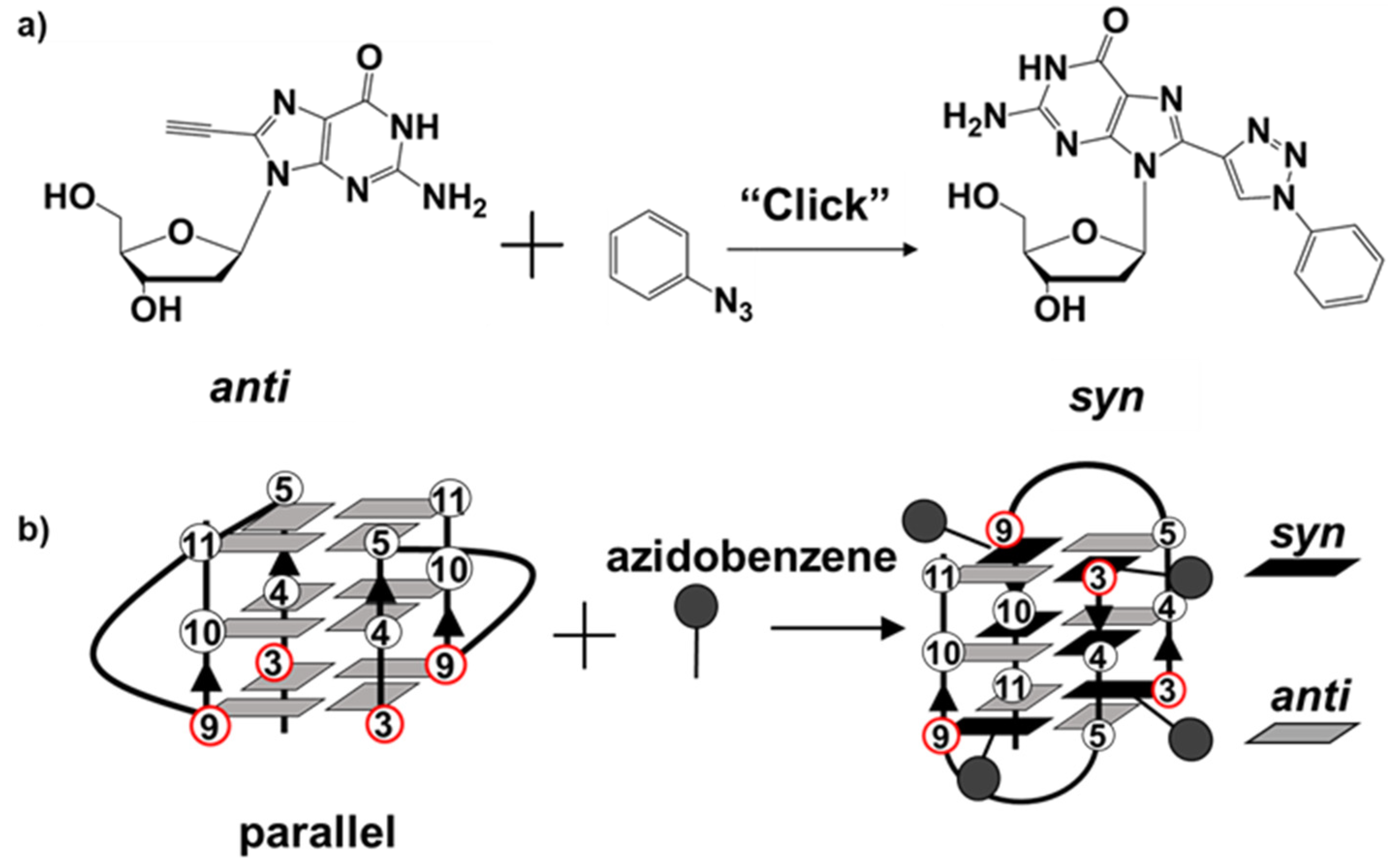 Molecules 25 04339 g001 Molecules 25 04339 g001