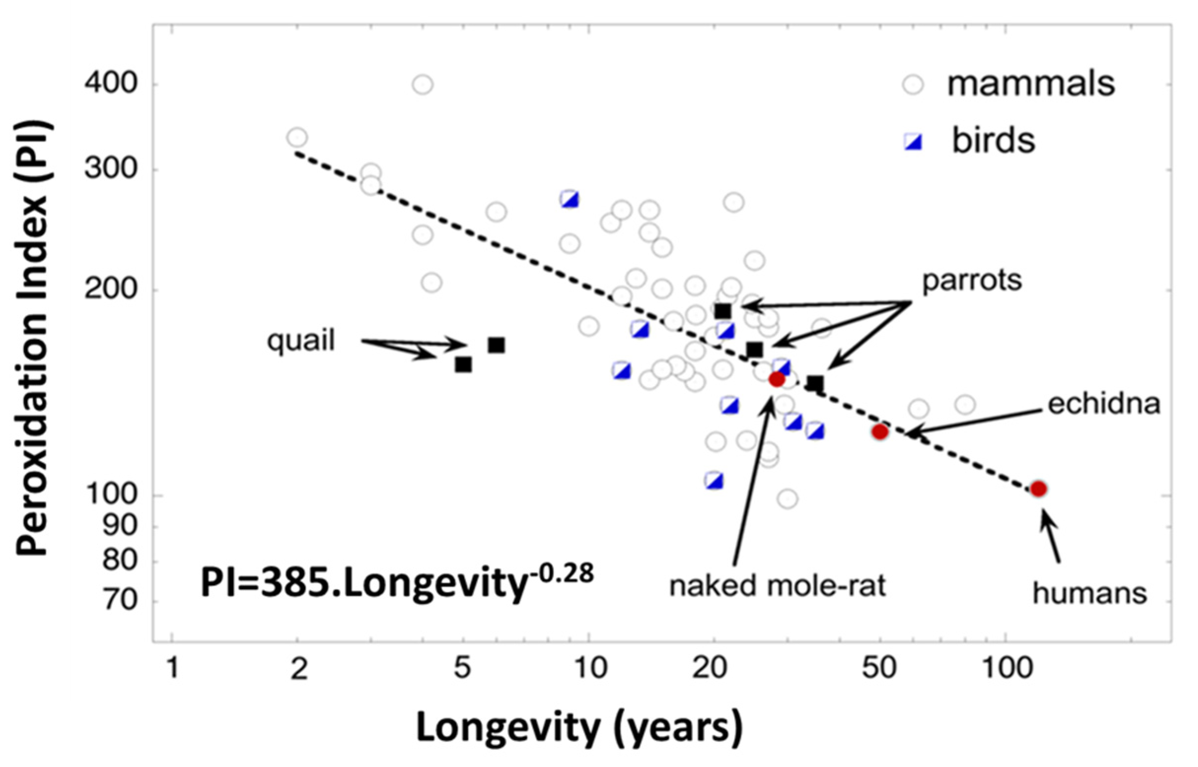 Molecules 25 04343 g002 Molecules 25 04343 g002