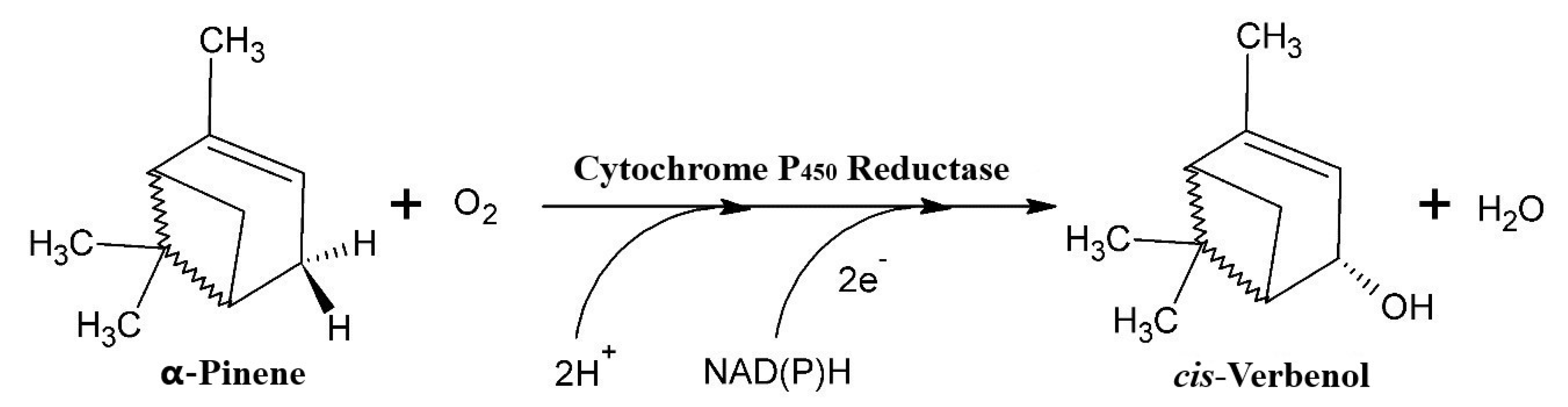 Molecules 25 04344 g002 Molecules 25 04344 g002