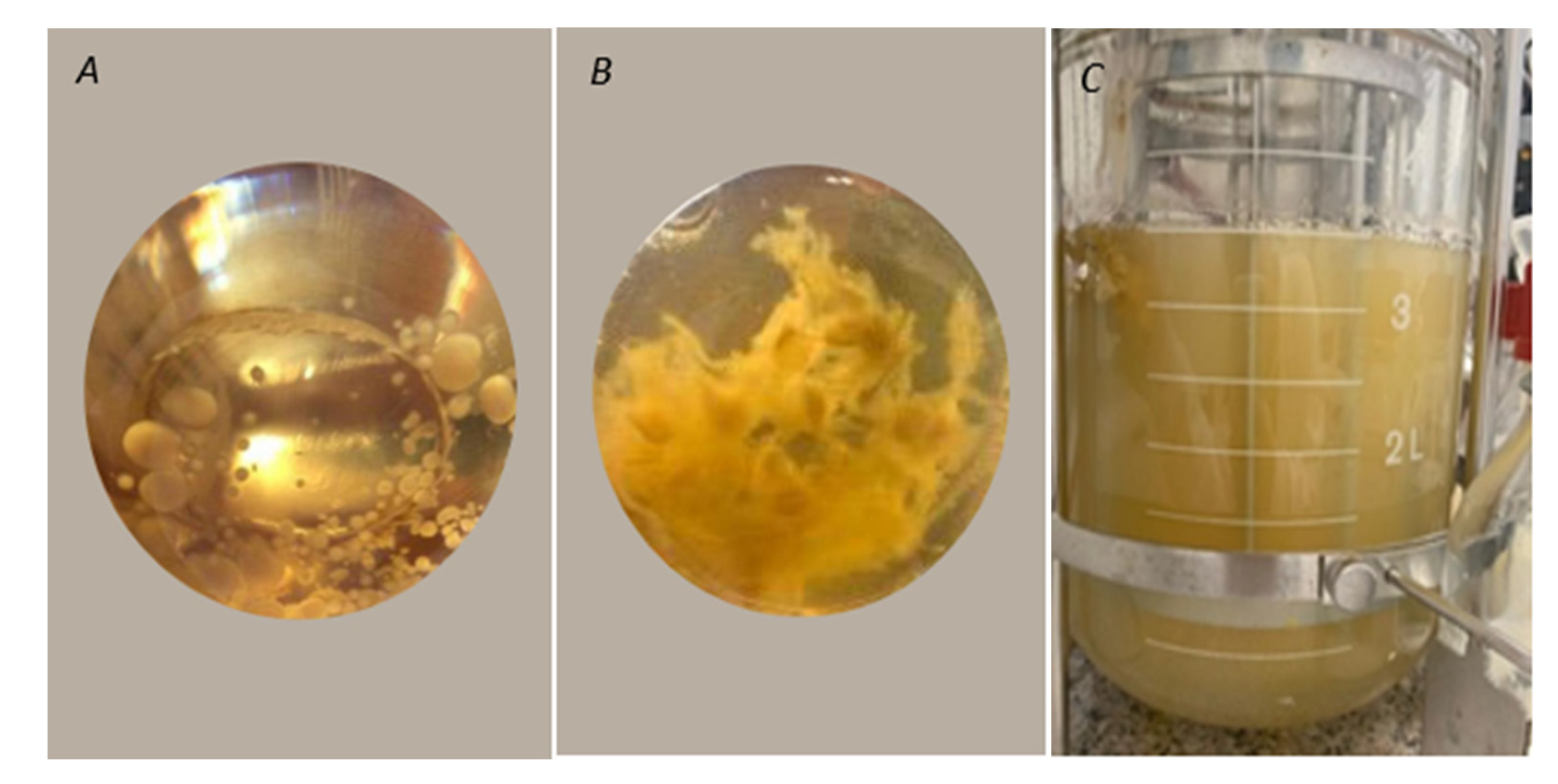 Molecules 25 04344 g004 Molecules 25 04344 g004