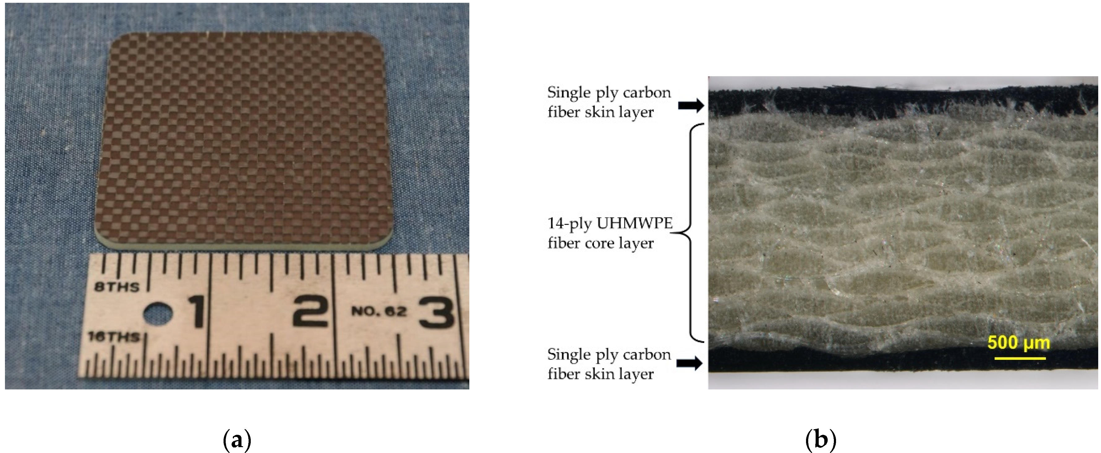 Molecules 25 04346 g005