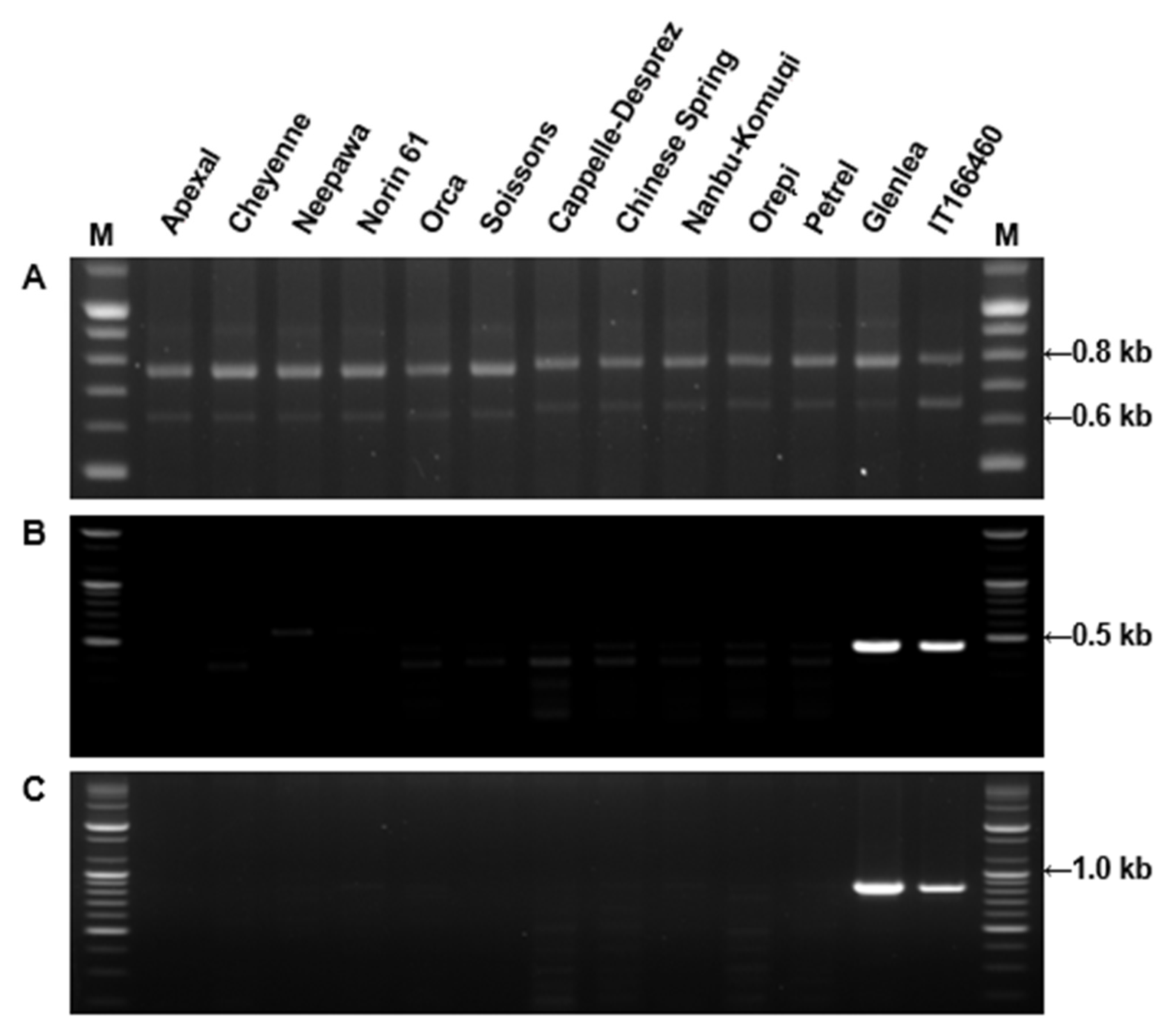 Molecules 25 04347 g003 Molecules 25 04347 g003