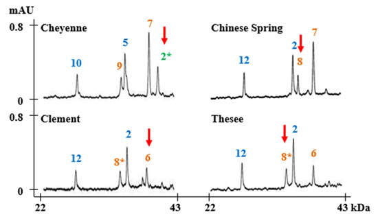 Molecules September 2 2020 Browse Articles