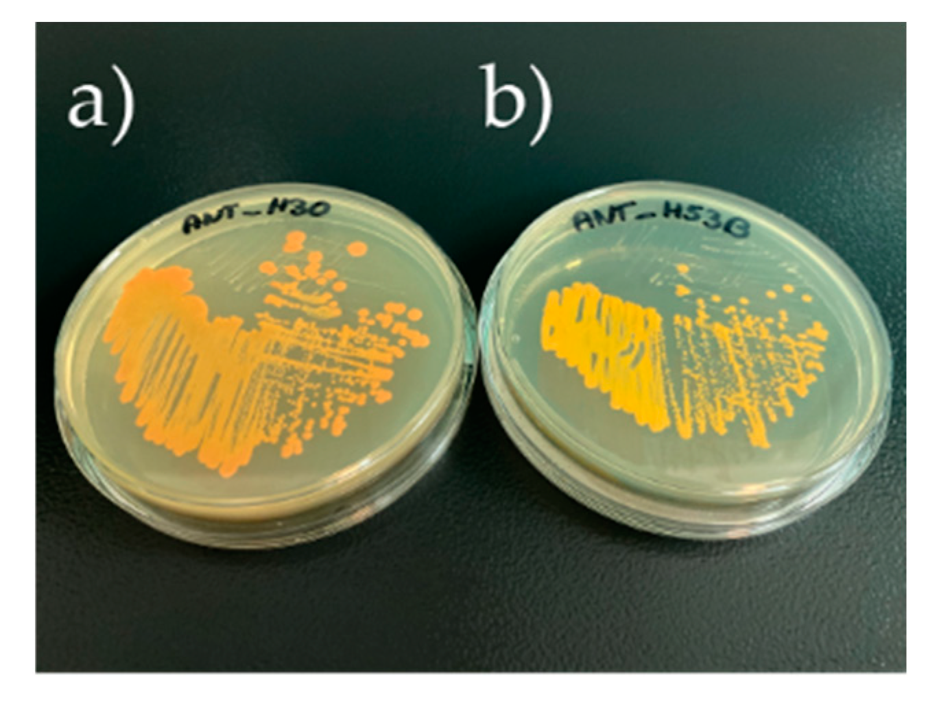 Molecules 25 04357 g001 Molecules 25 04357 g001