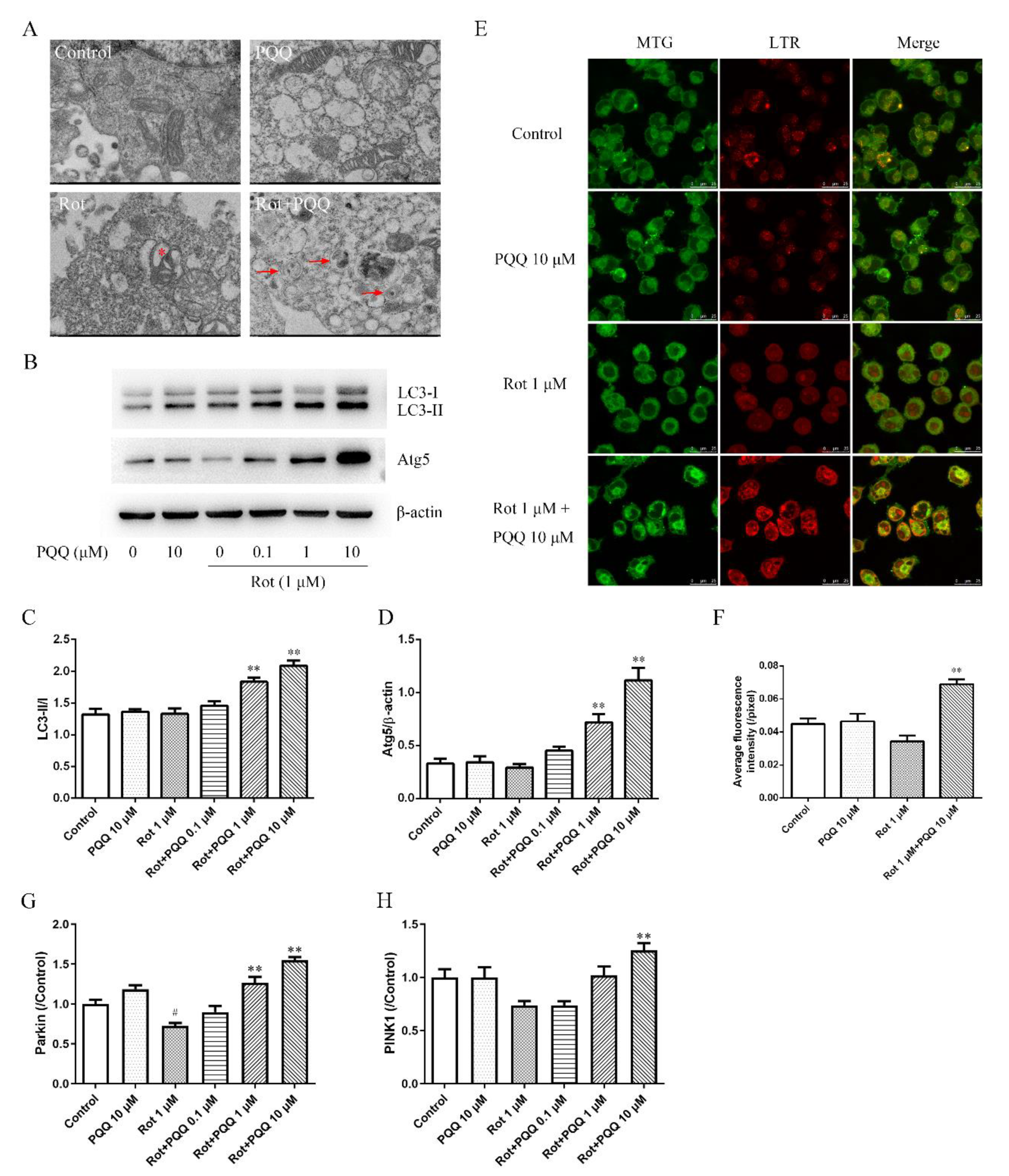 Molecules 25 04359 g003 Molecules 25 04359 g003