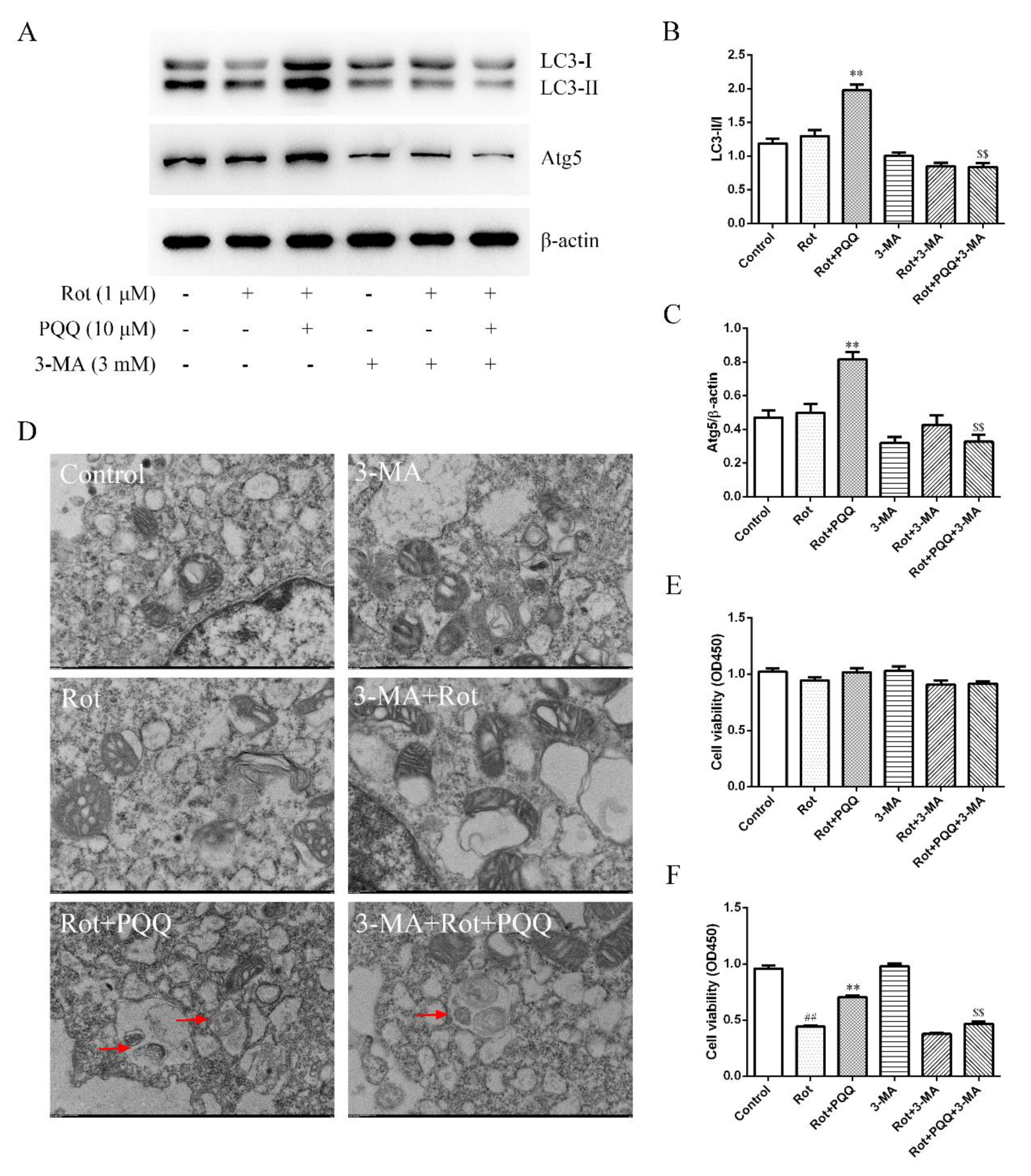 Molecules 25 04359 g004 Molecules 25 04359 g004