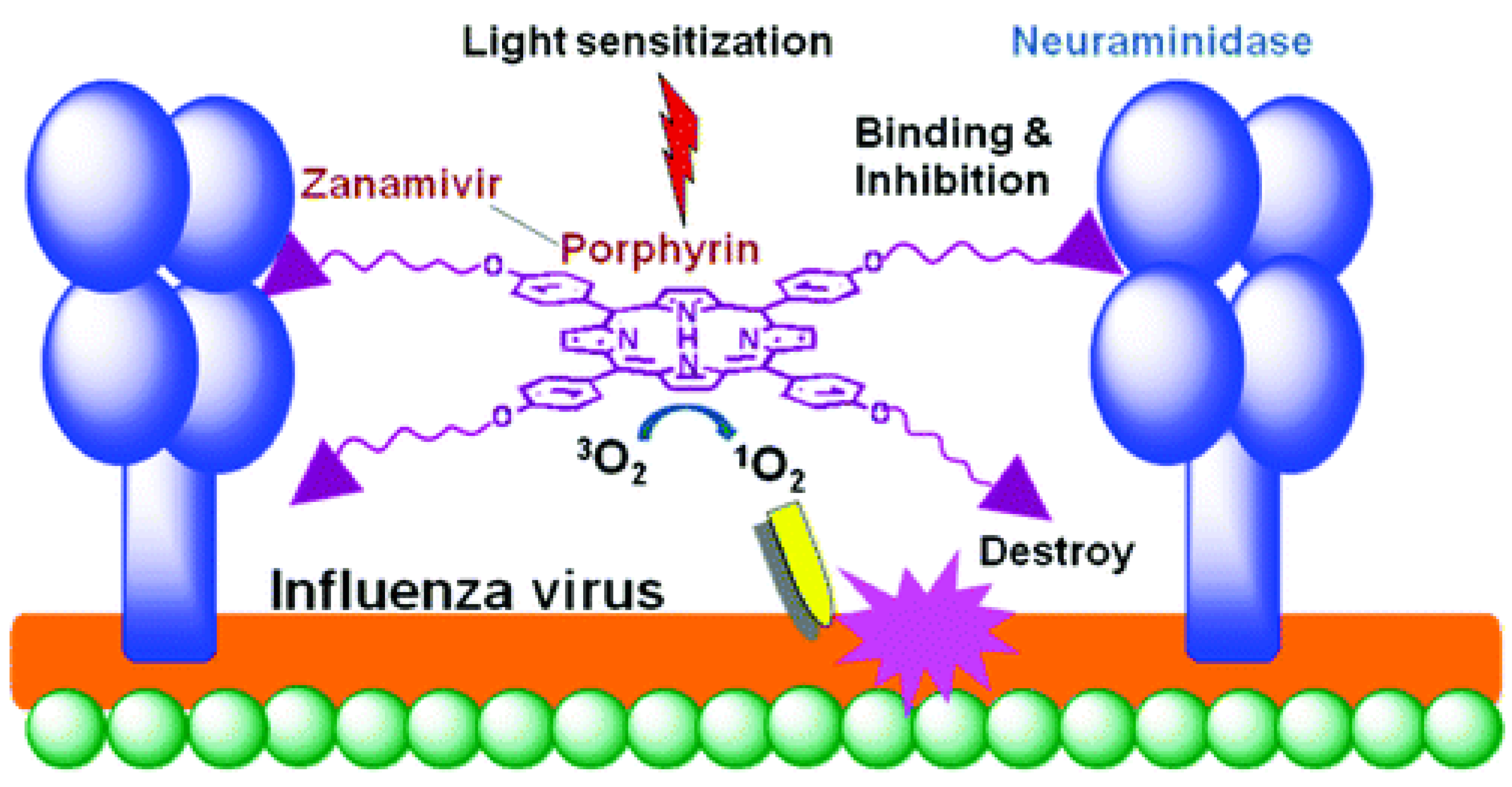 Molecules 25 04368 g006