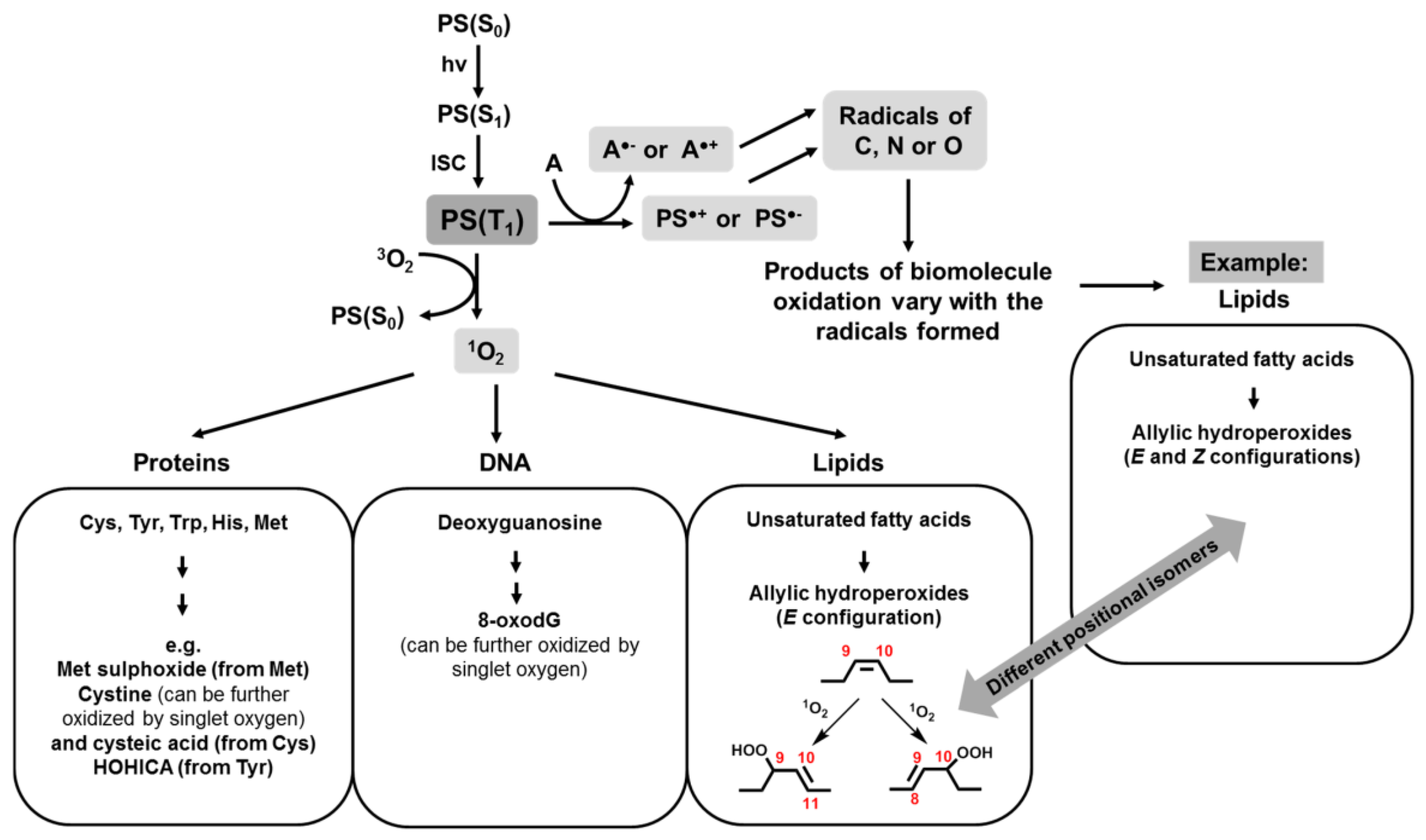 Molecules 25 04368 g008 Molecules 25 04368 g008