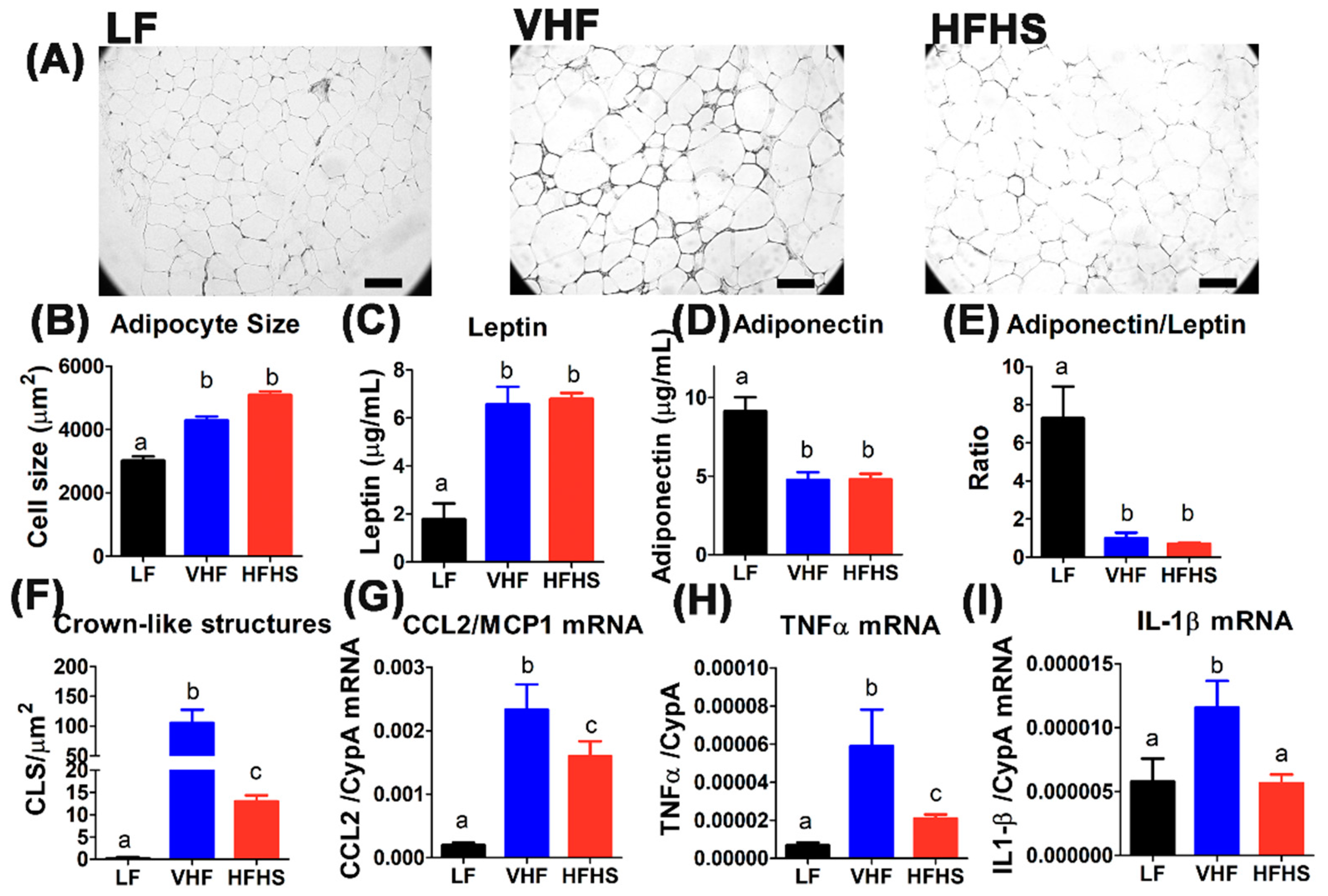 Molecules 25 04369 g004 Molecules 25 04369 g004