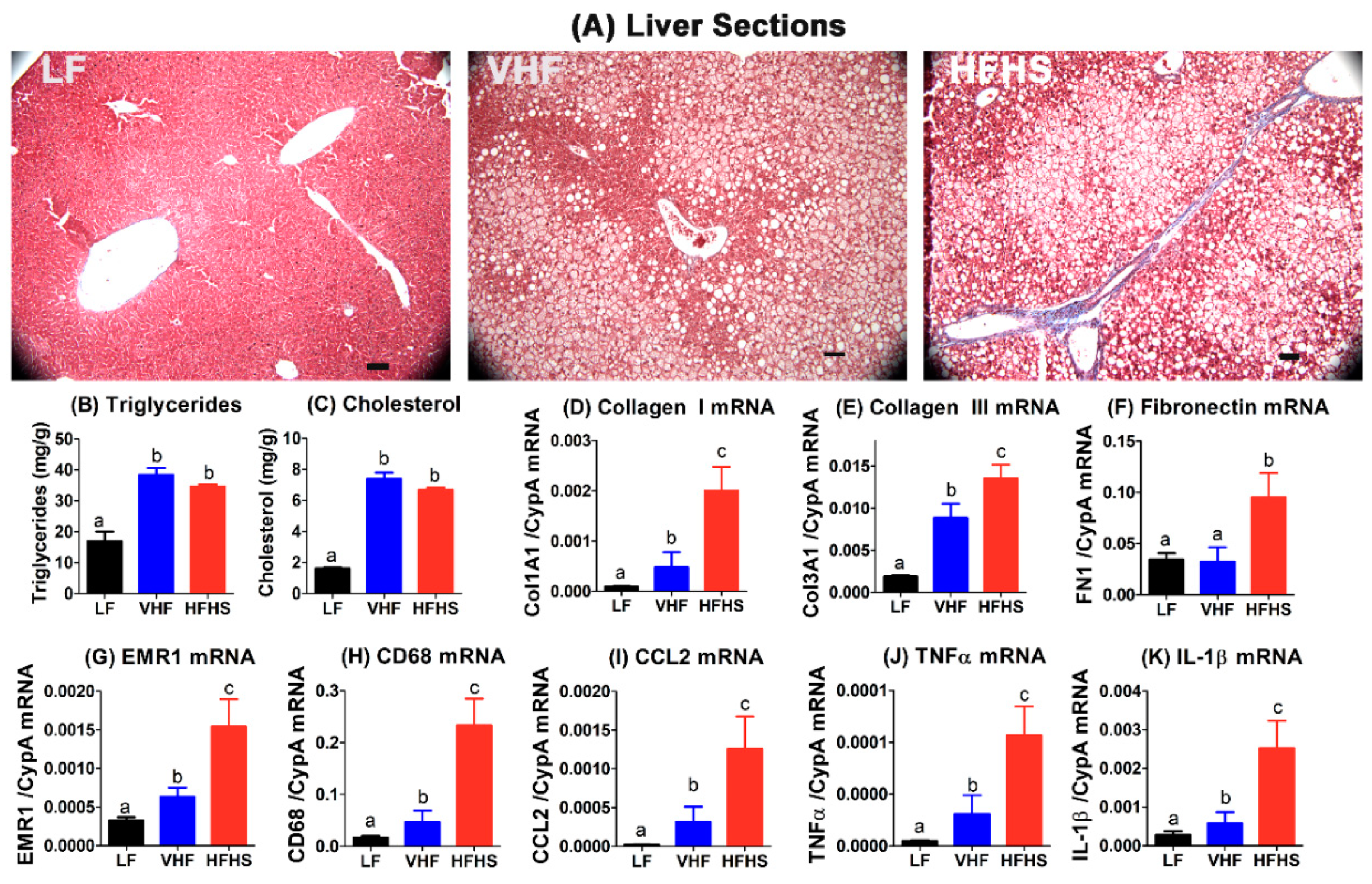 Molecules 25 04369 g005 Molecules 25 04369 g005