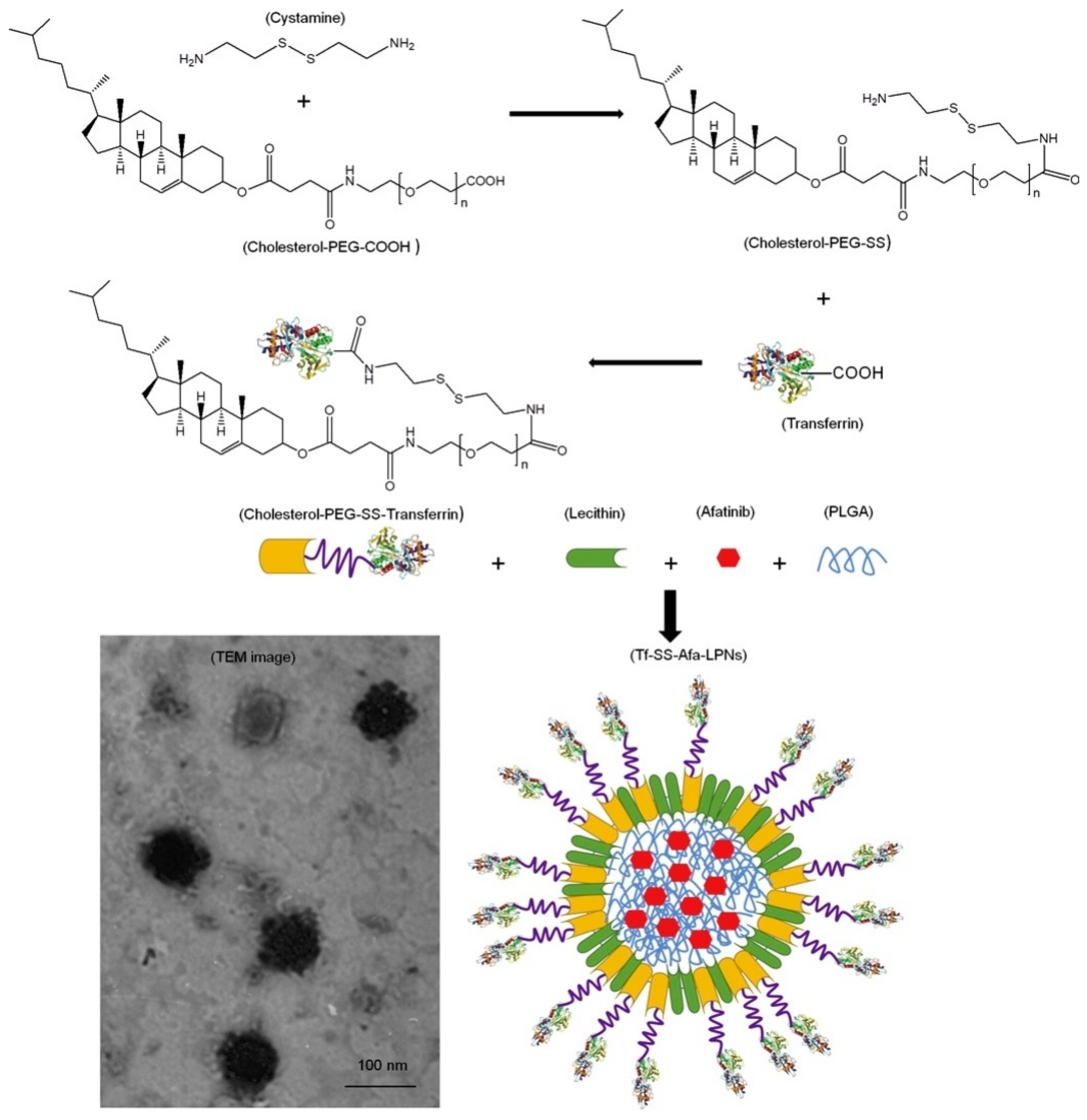 Molecules 25 04377 g005 Molecules 25 04377 g005