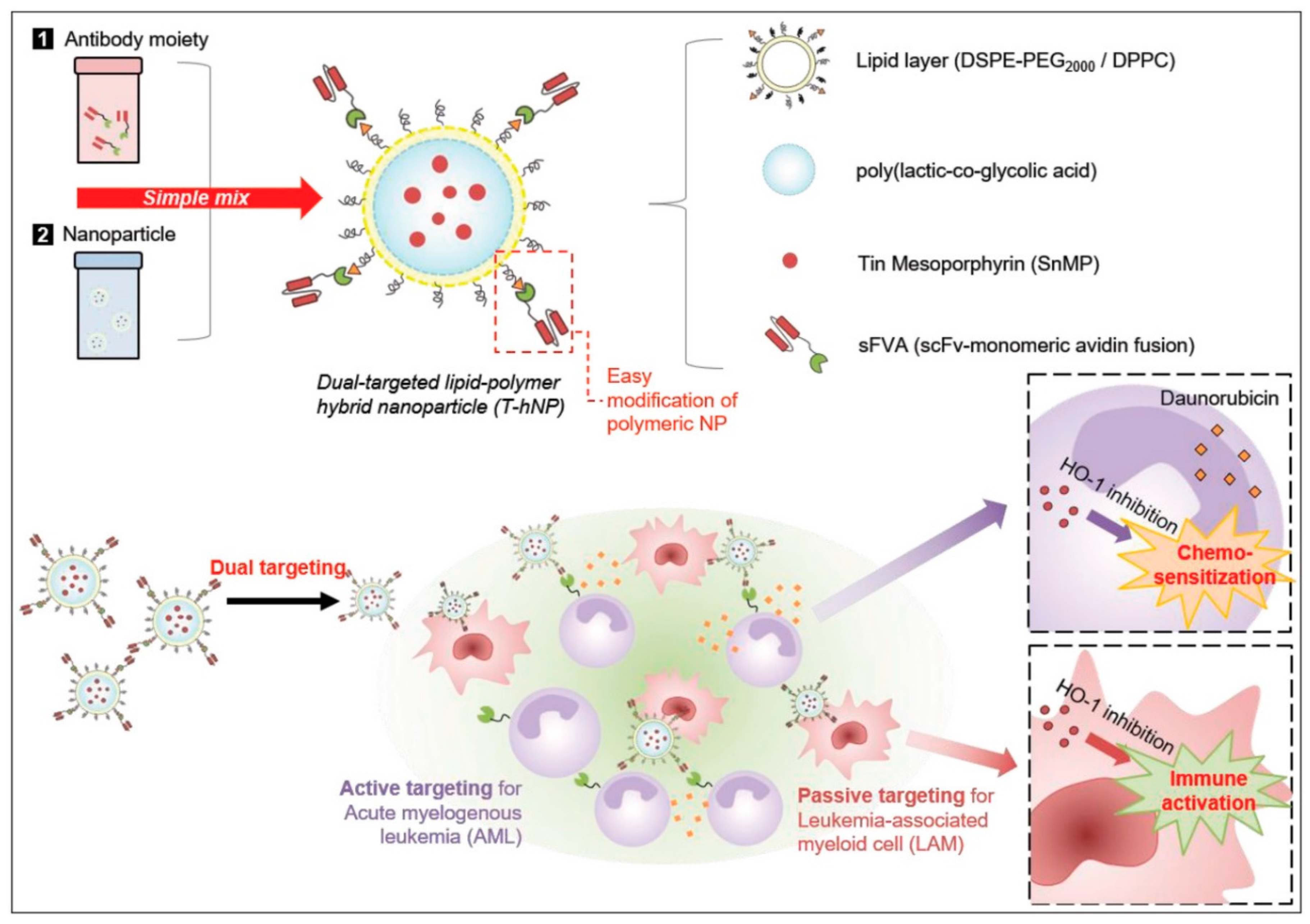 Molecules 25 04377 g007 Molecules 25 04377 g007