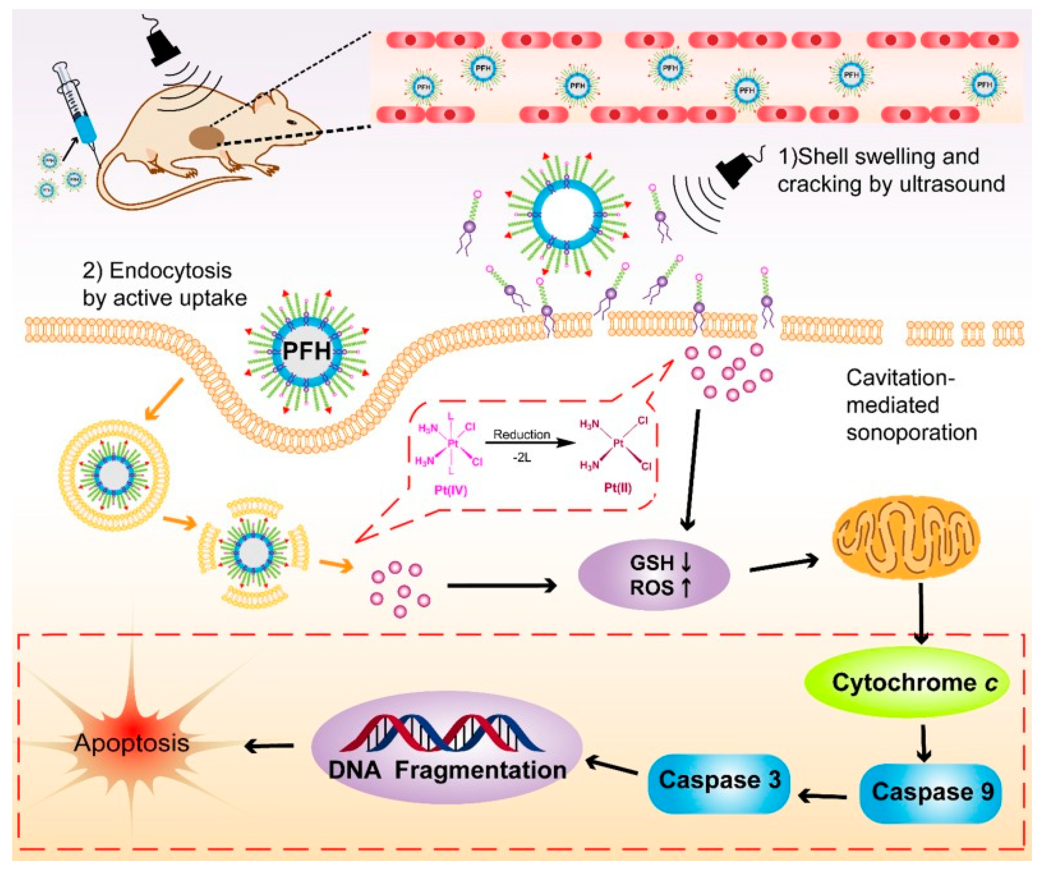 Molecules 25 04377 g010 Molecules 25 04377 g010