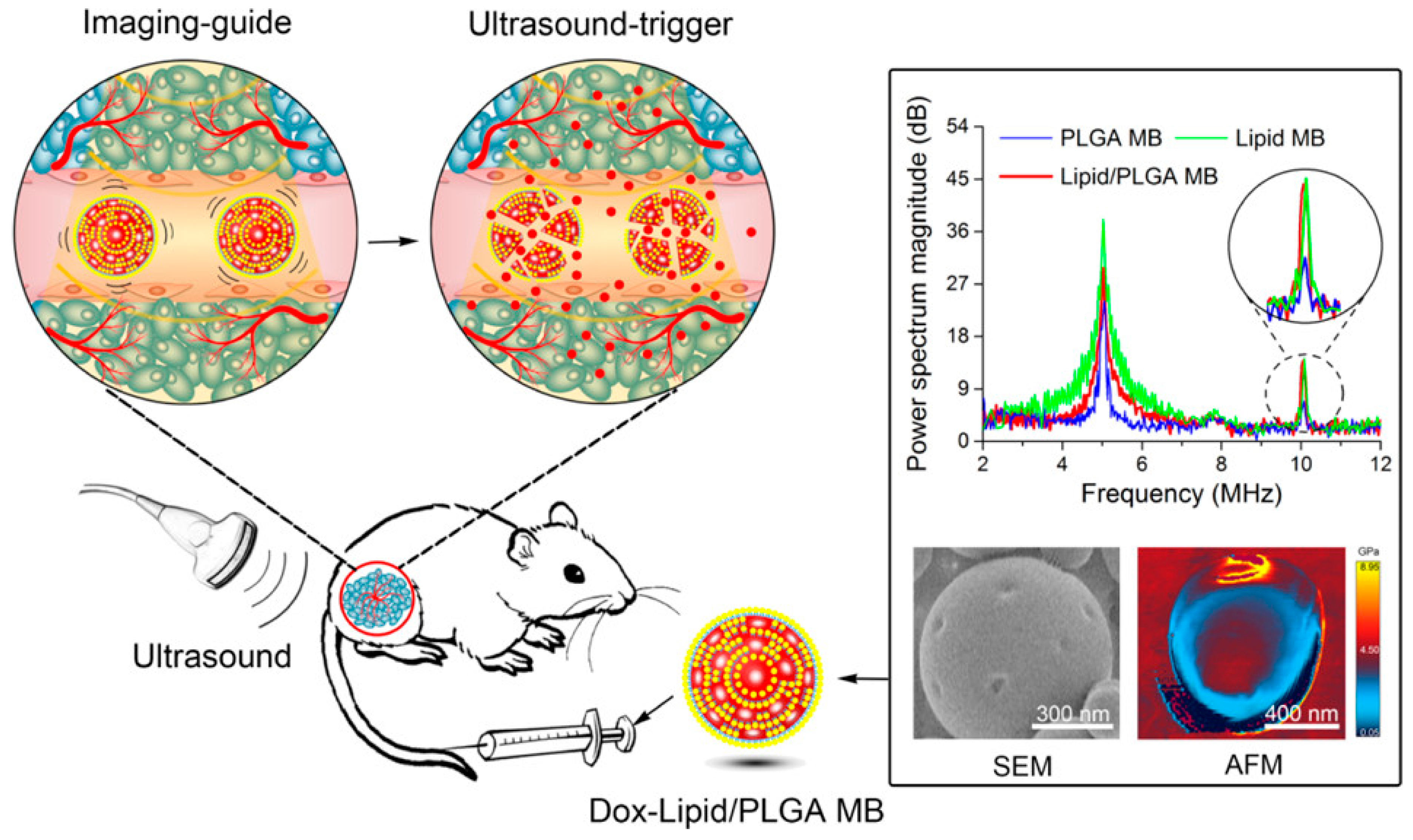 Molecules 25 04377 g012 Molecules 25 04377 g012