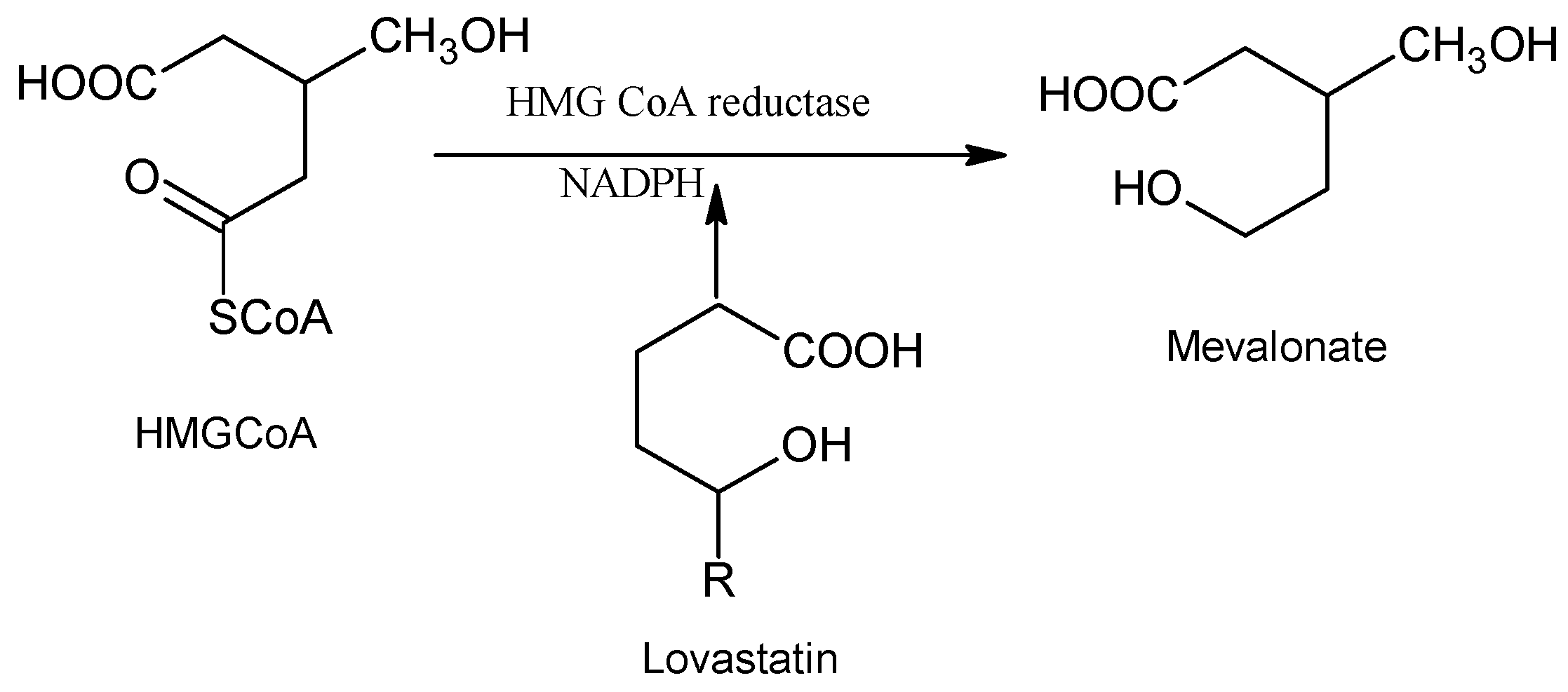 Molecules 25 04380 g002