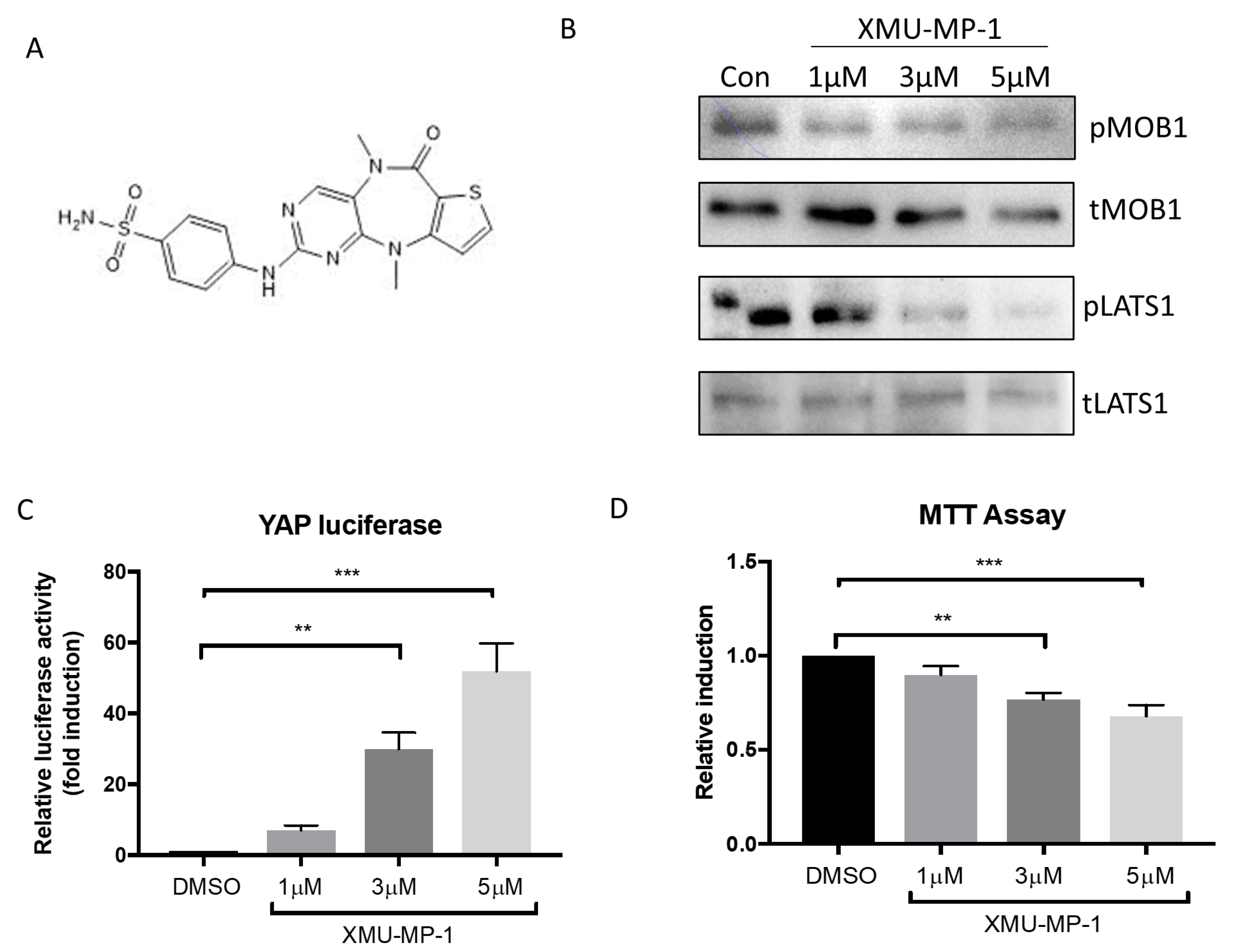 Molecules 25 04381 g001