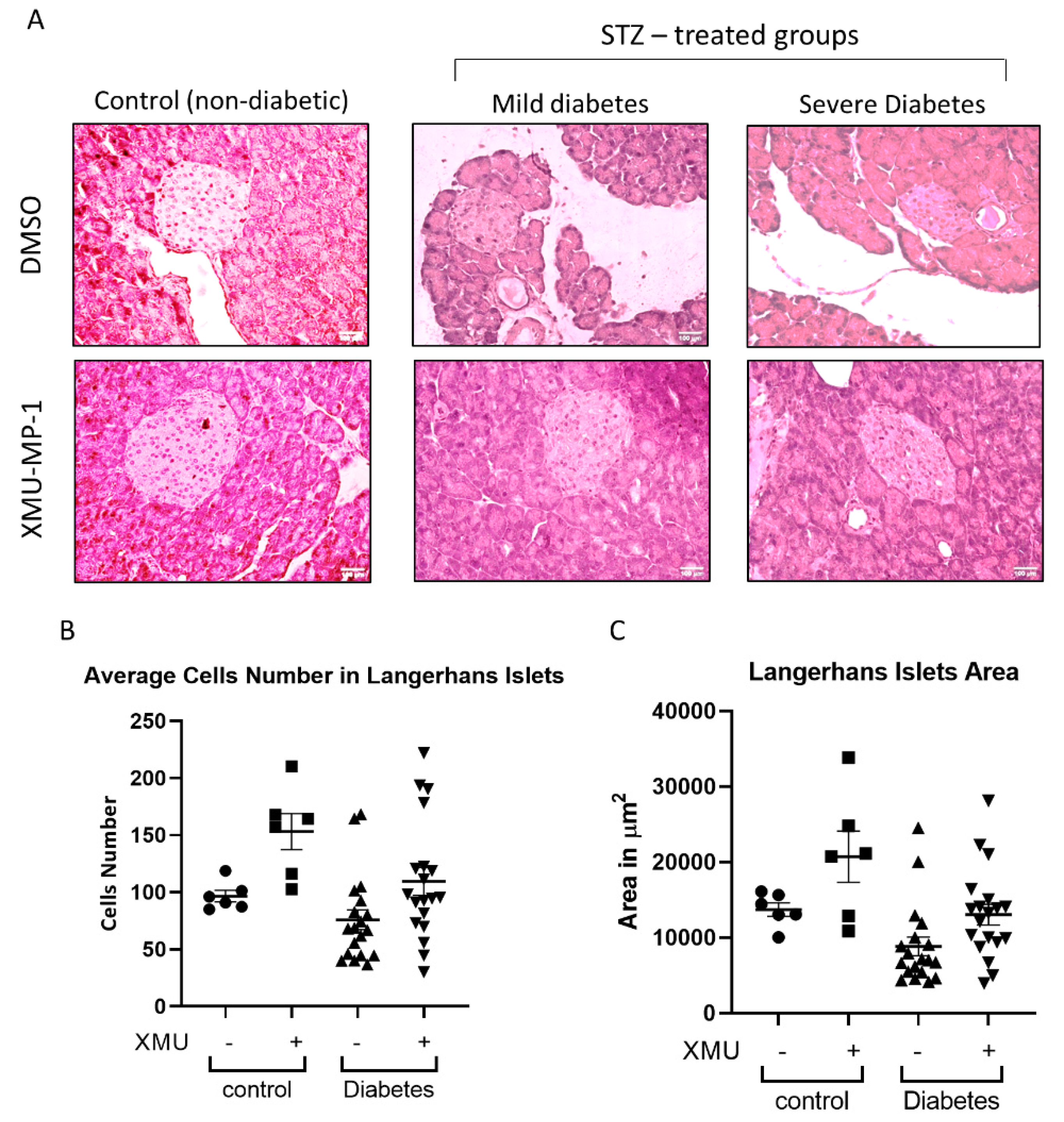 Molecules 25 04381 g005