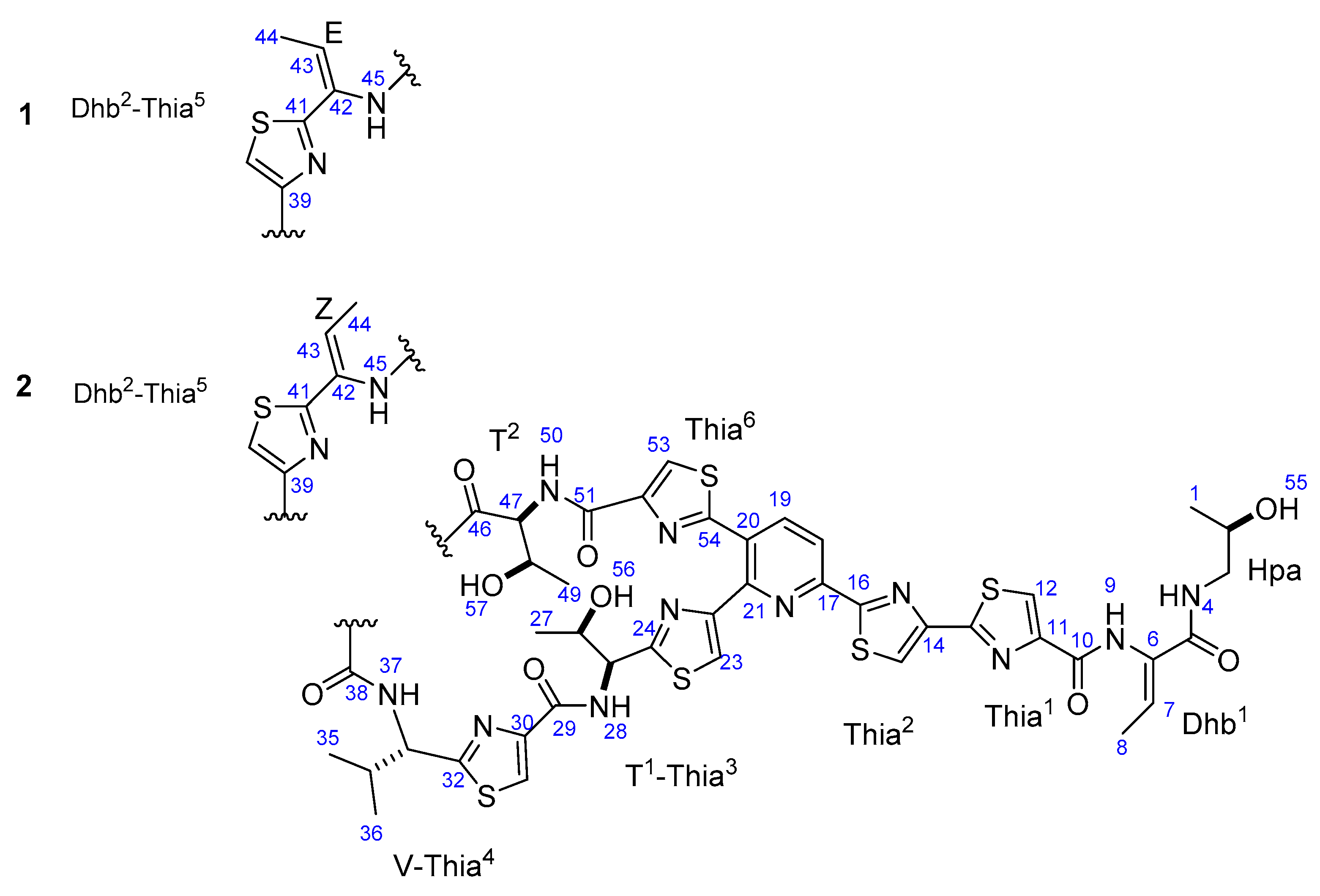 Molecules 25 04383 g001 Molecules 25 04383 g001