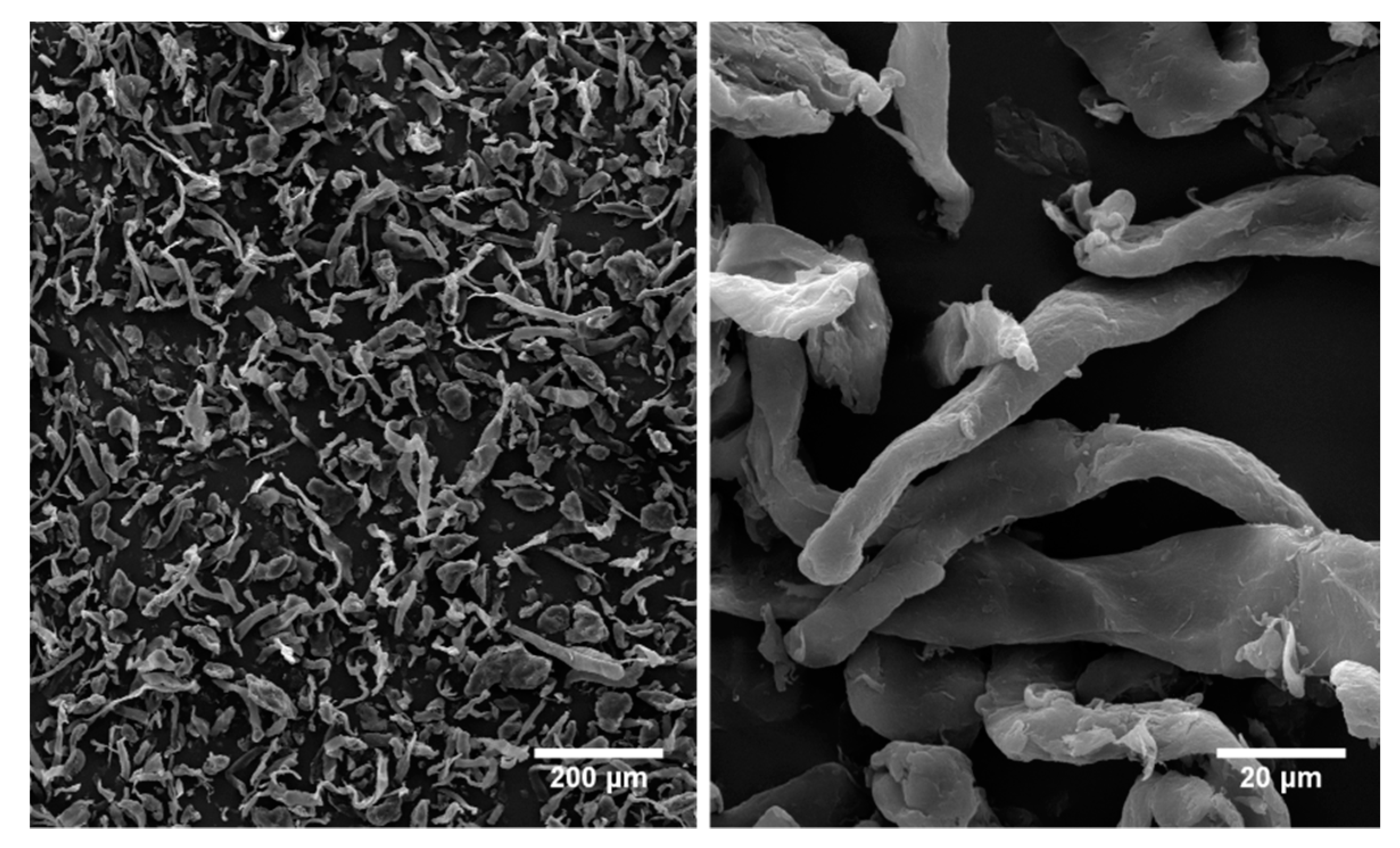 Molecules 25 04384 g009 Molecules 25 04384 g009