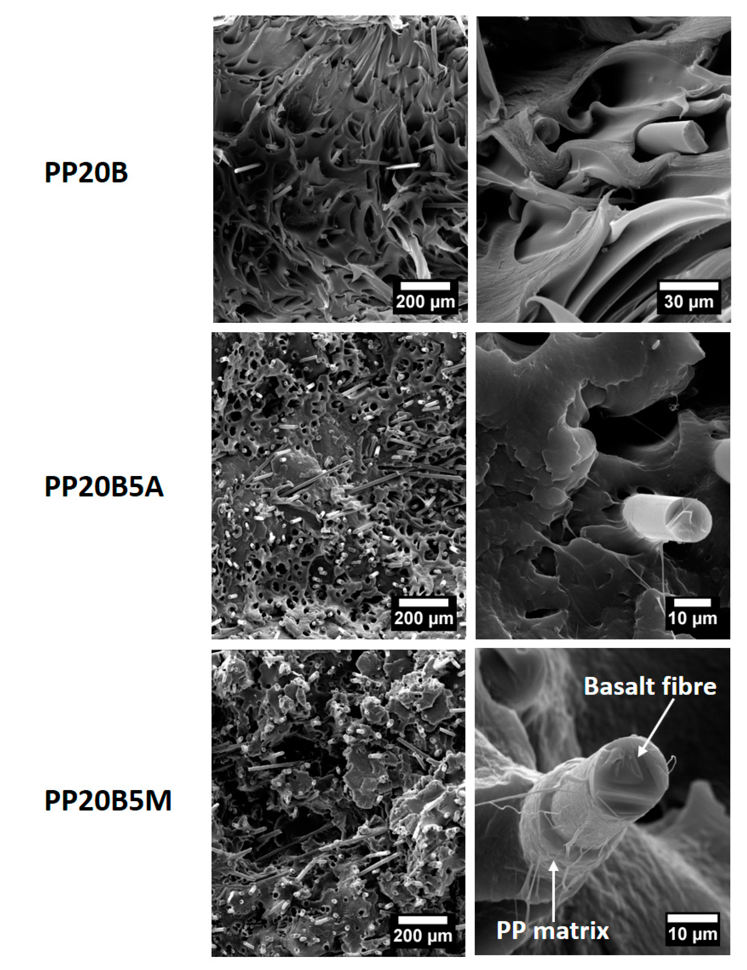 Molecules 25 04384 g013 Molecules 25 04384 g013